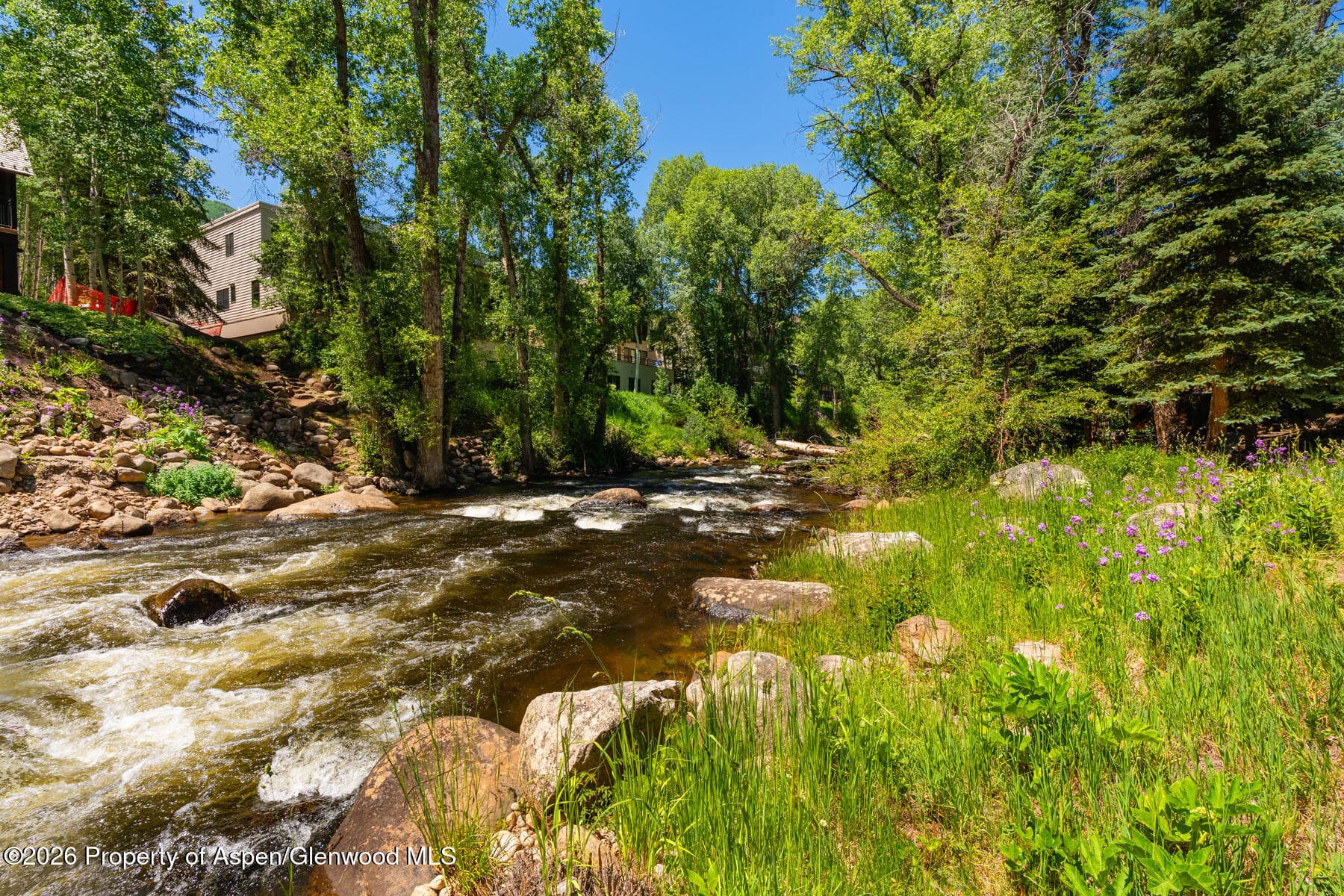979 Queen Street, Aspen, CO 81611 - Photo 28