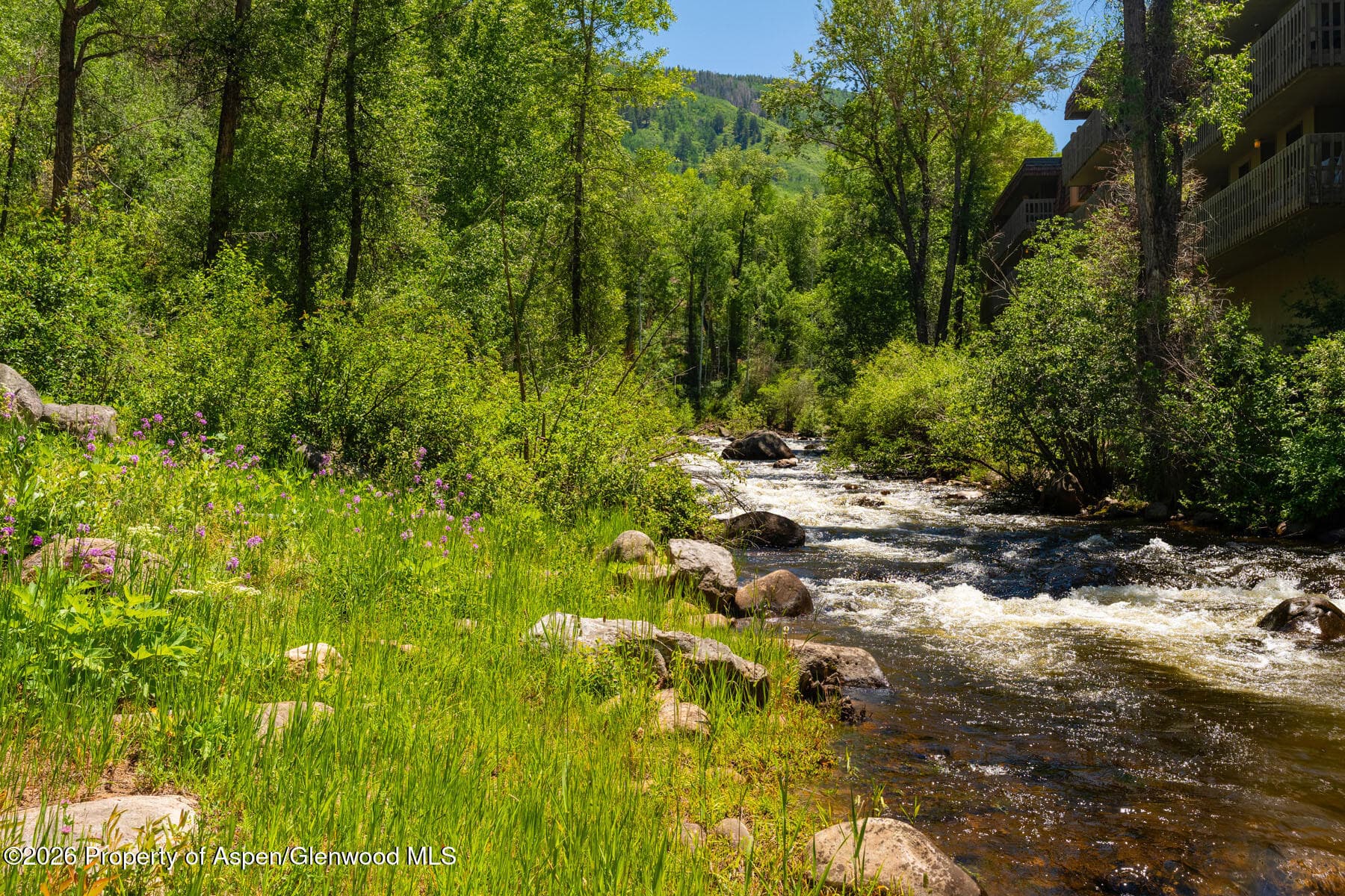 979 Queen Street, Aspen, CO 81611 - Photo 29