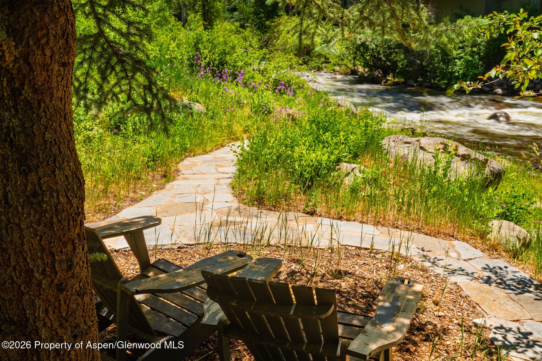 979 Queen Street, Aspen, CO 81611 - Photo 31