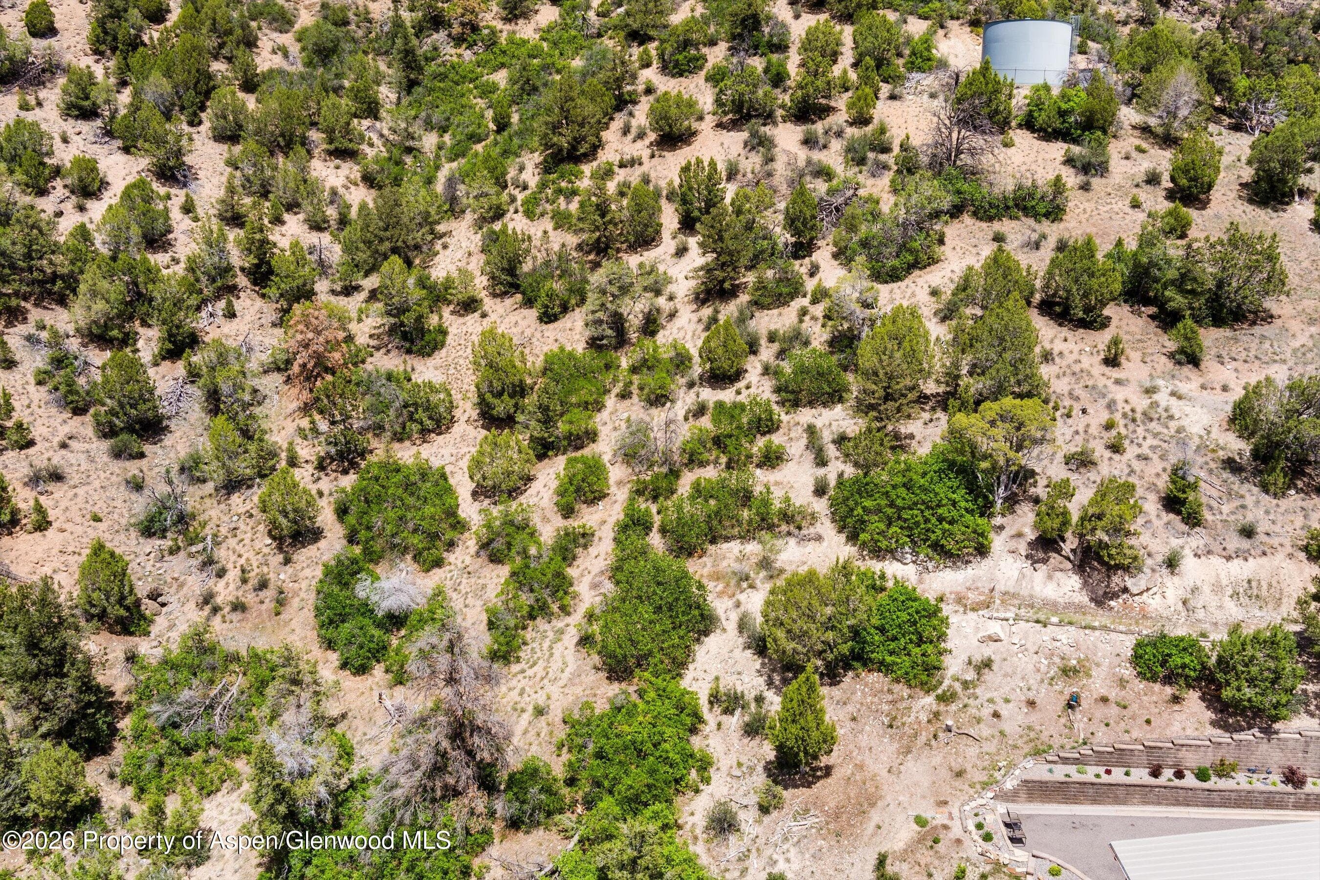 718 Silver Oak Drive, Glenwood Springs, CO 81601 - Photo 7