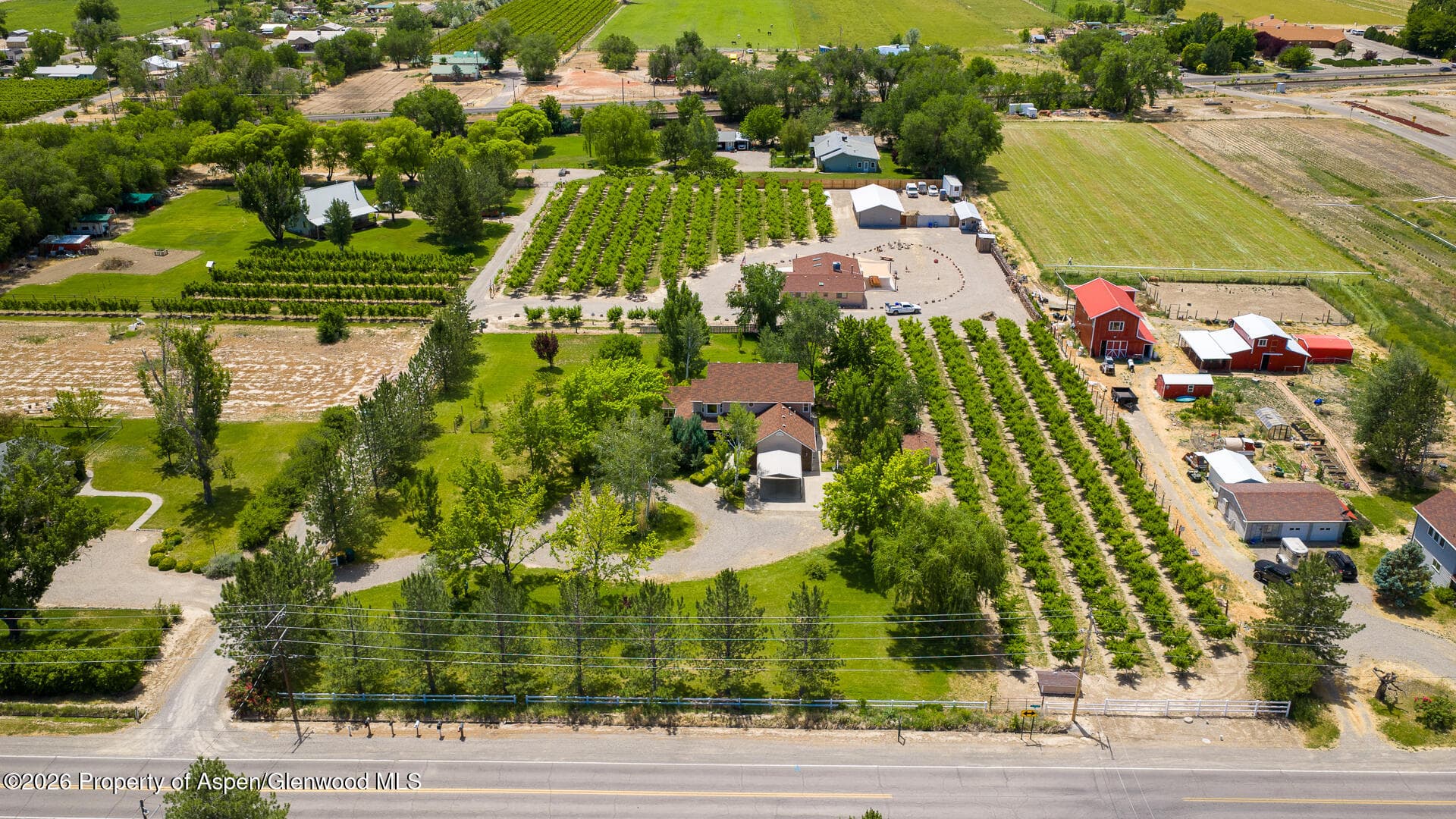 3609 G Road, Palisade, CO 81526 - Photo 44