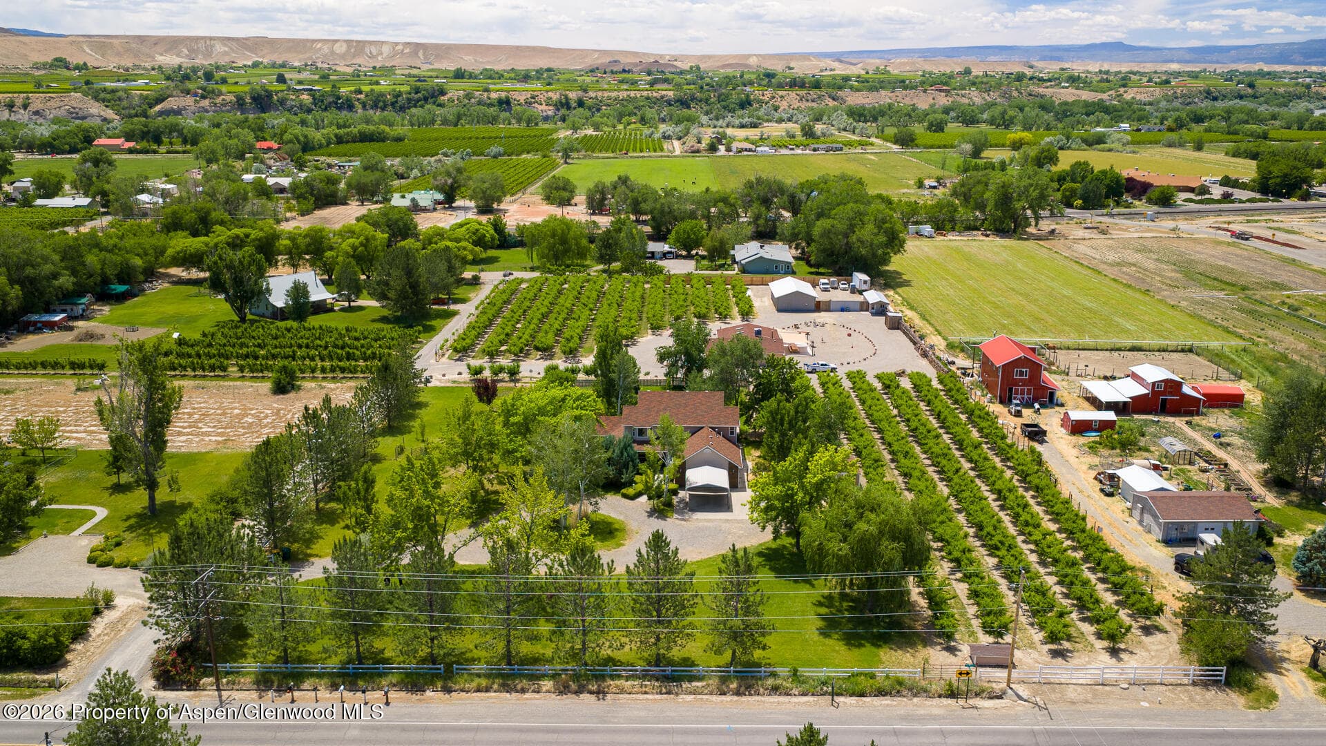 3609 G Road, Palisade, CO 81526 - Photo 45