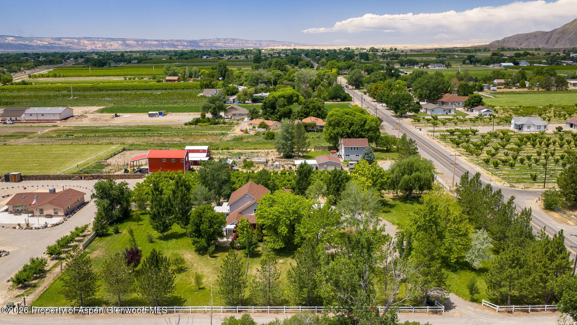 3609 G Road, Palisade, CO 81526 - Photo 52