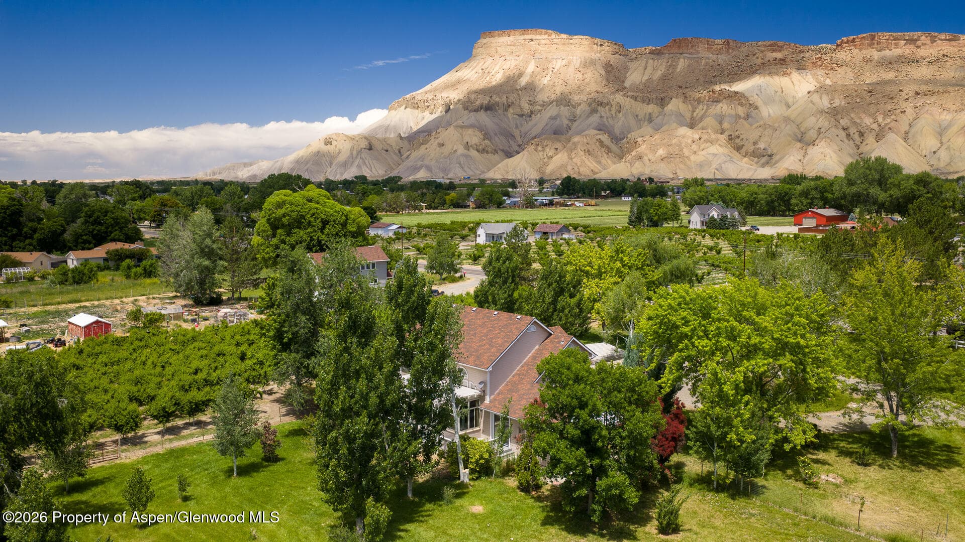 3609 G Road, Palisade, CO 81526 - Photo 55