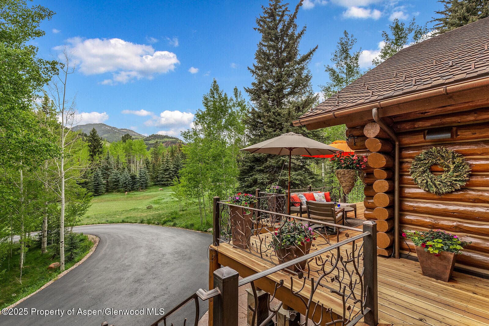 251 Chair Mountain Drive, Redstone, CO 81623 - Photo 22