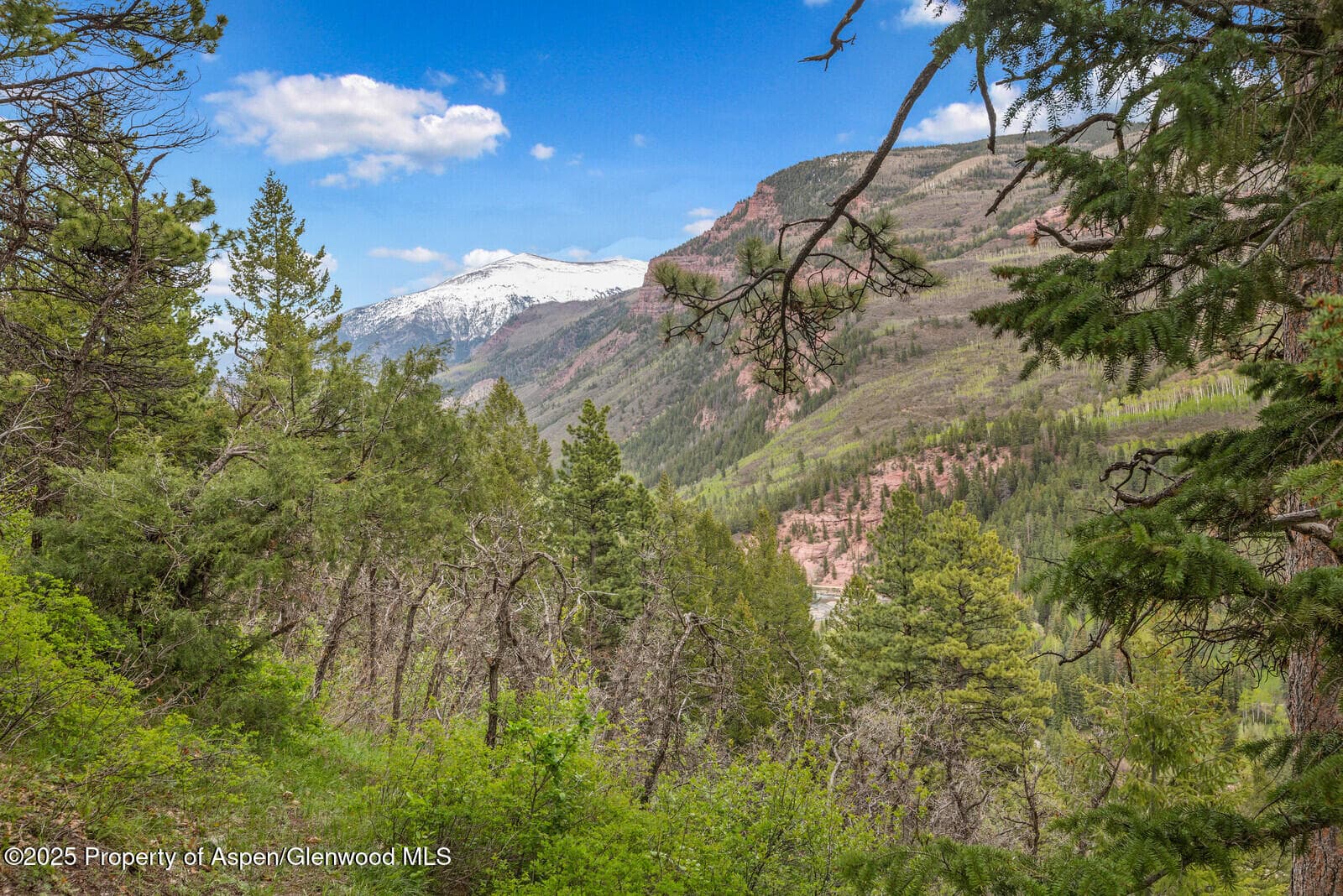 251 Chair Mountain Drive, Redstone, CO 81623 - Photo 39