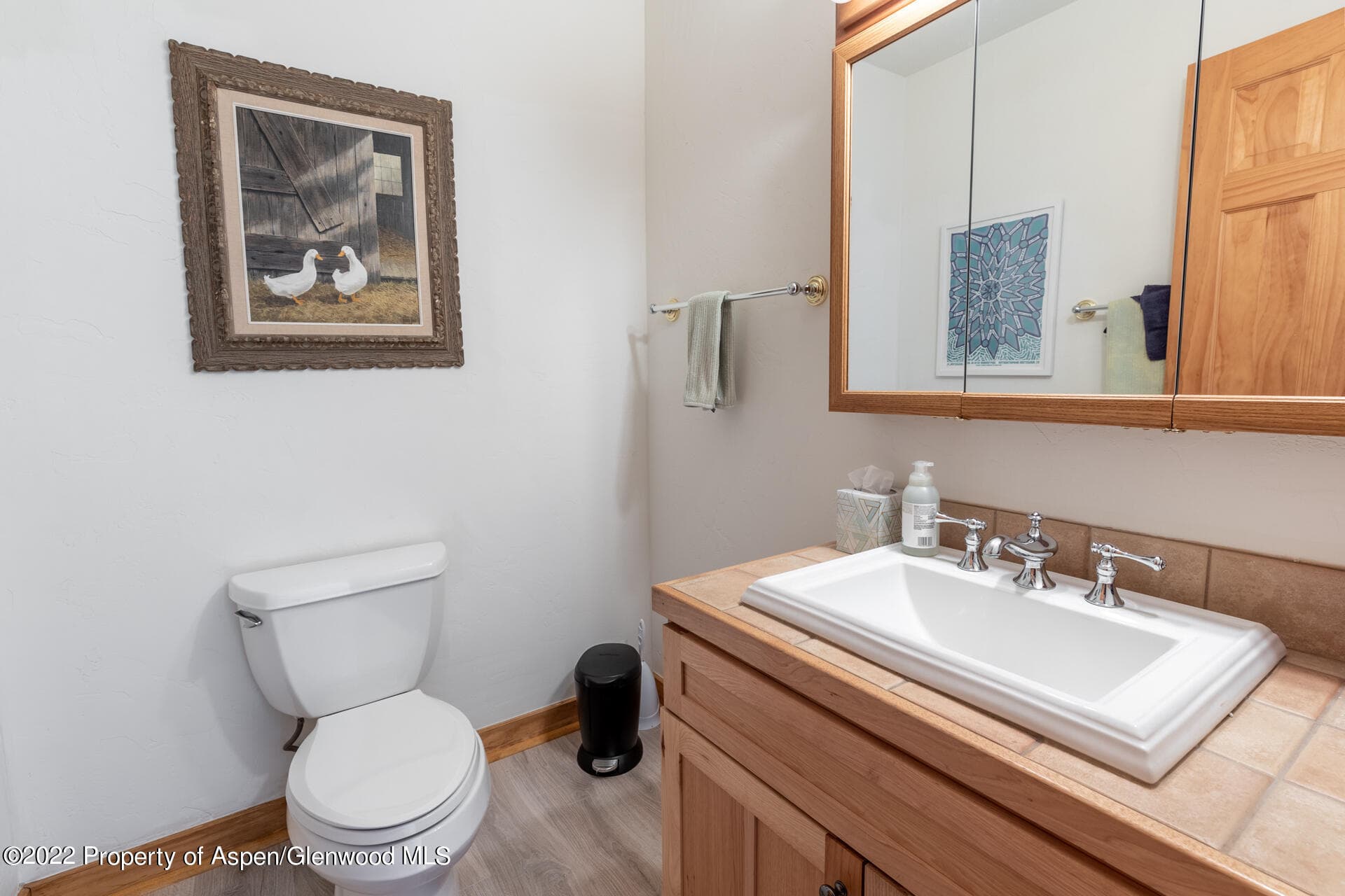 1103 Heritage Drive, Carbondale, CO 81623 - Photo 17