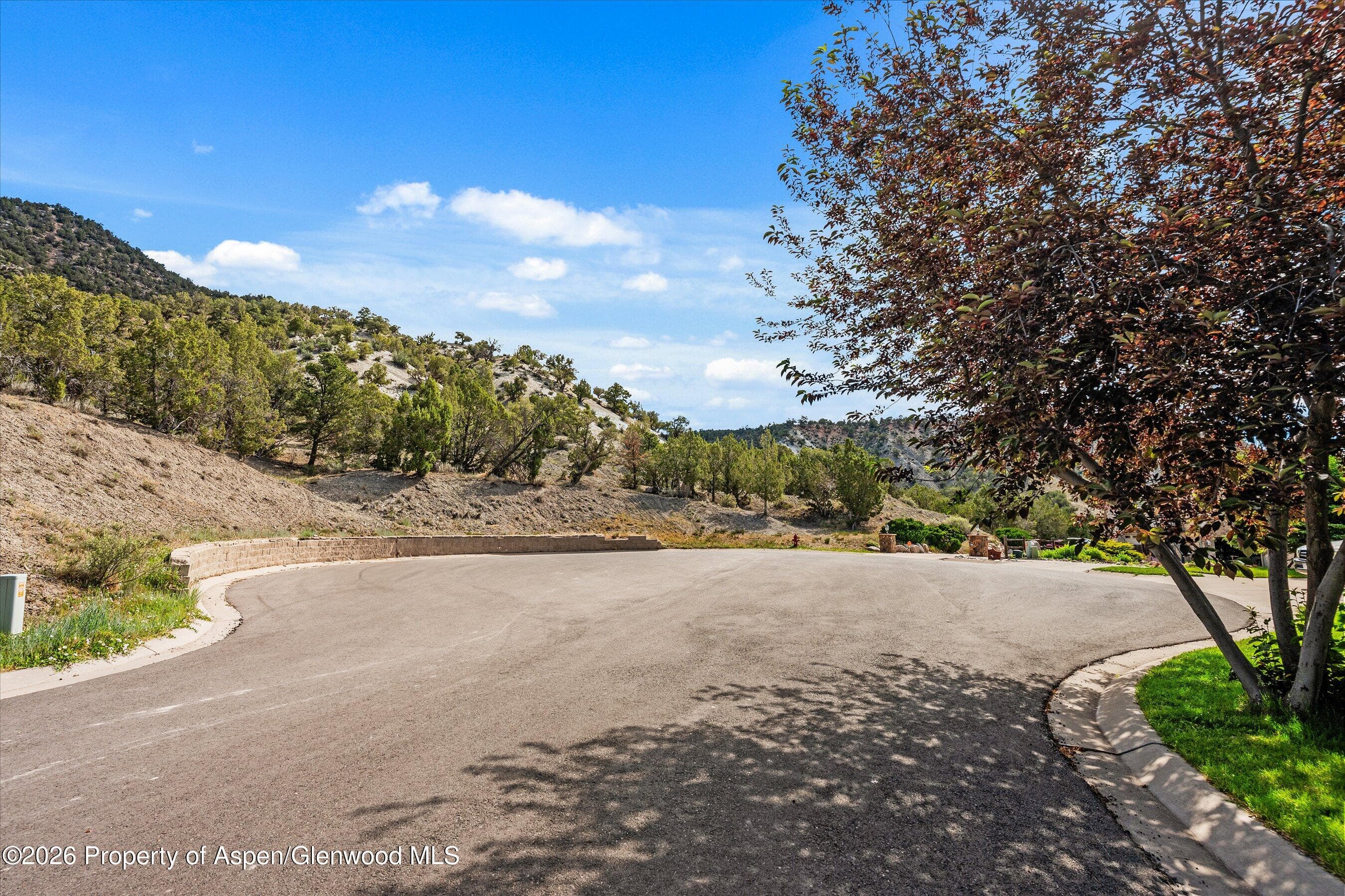 464 Silverhorn Drive, New Castle, CO 81647 - Photo 38