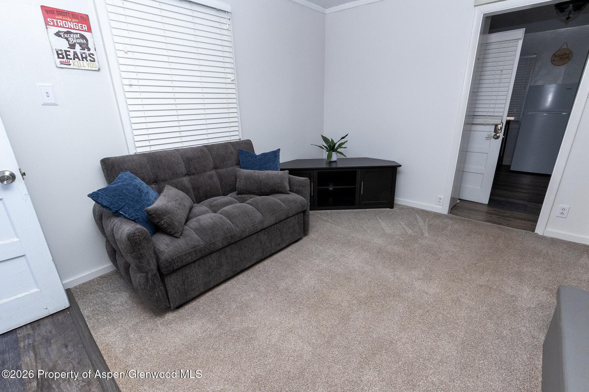 112 Main Street, Meeker, CO 81641 - Photo 59