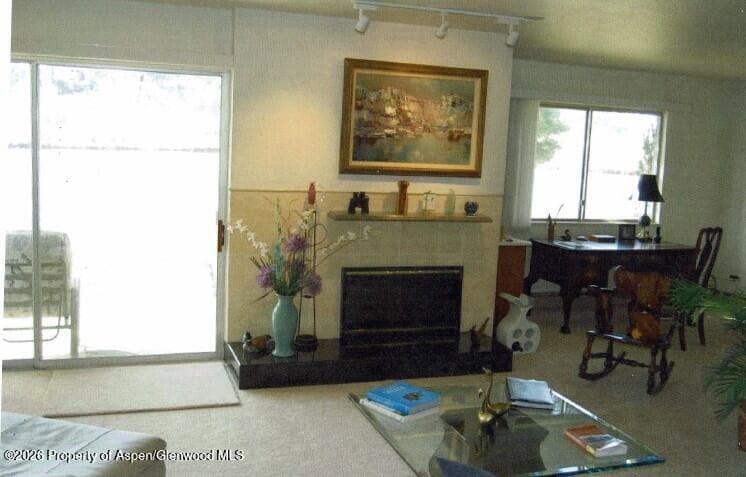 14913 Hwy 82, Unit 108, Carbondale, CO 81623 - Photo 3