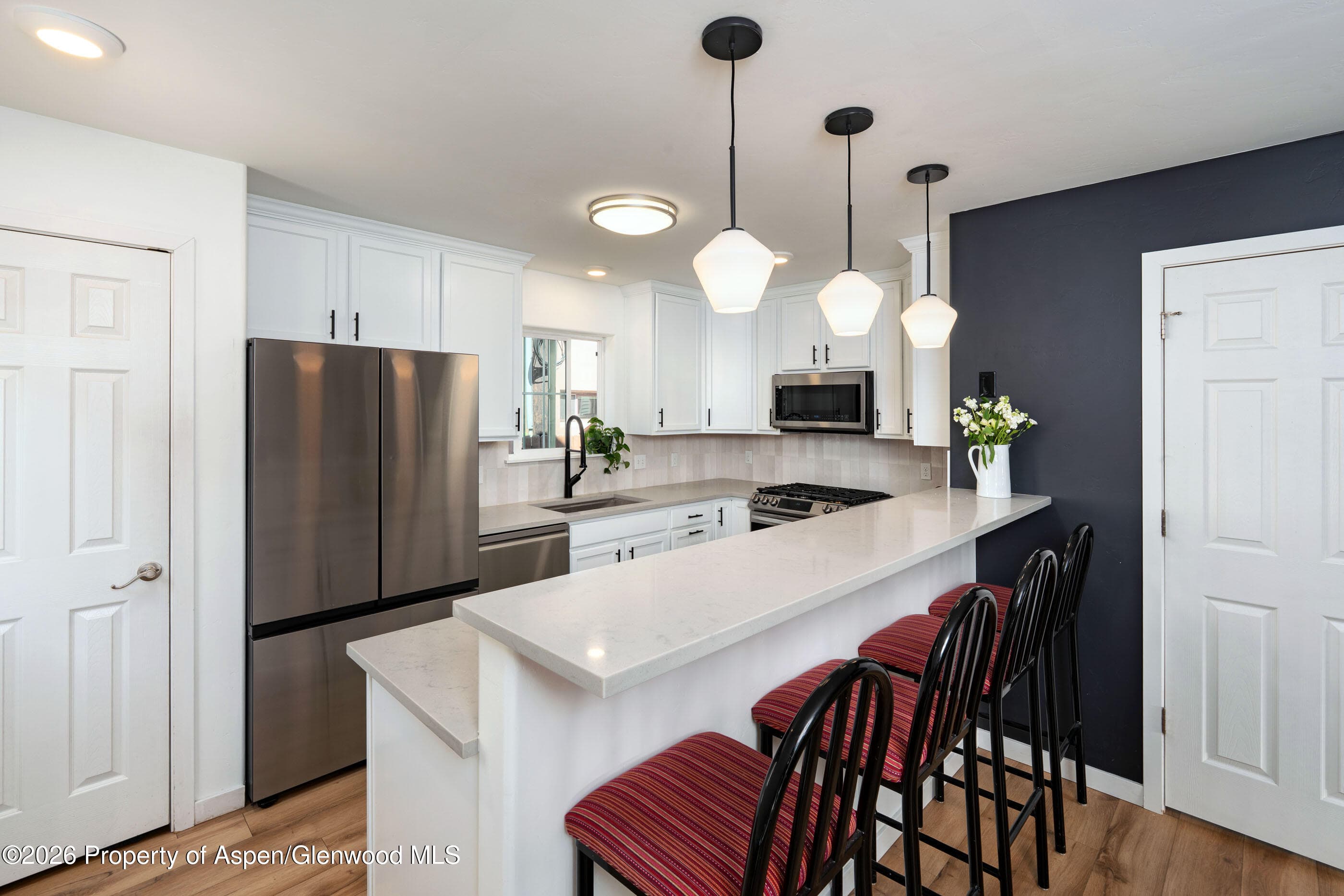 321 W Eighth Court, Carbondale, CO 81623 - Photo 4