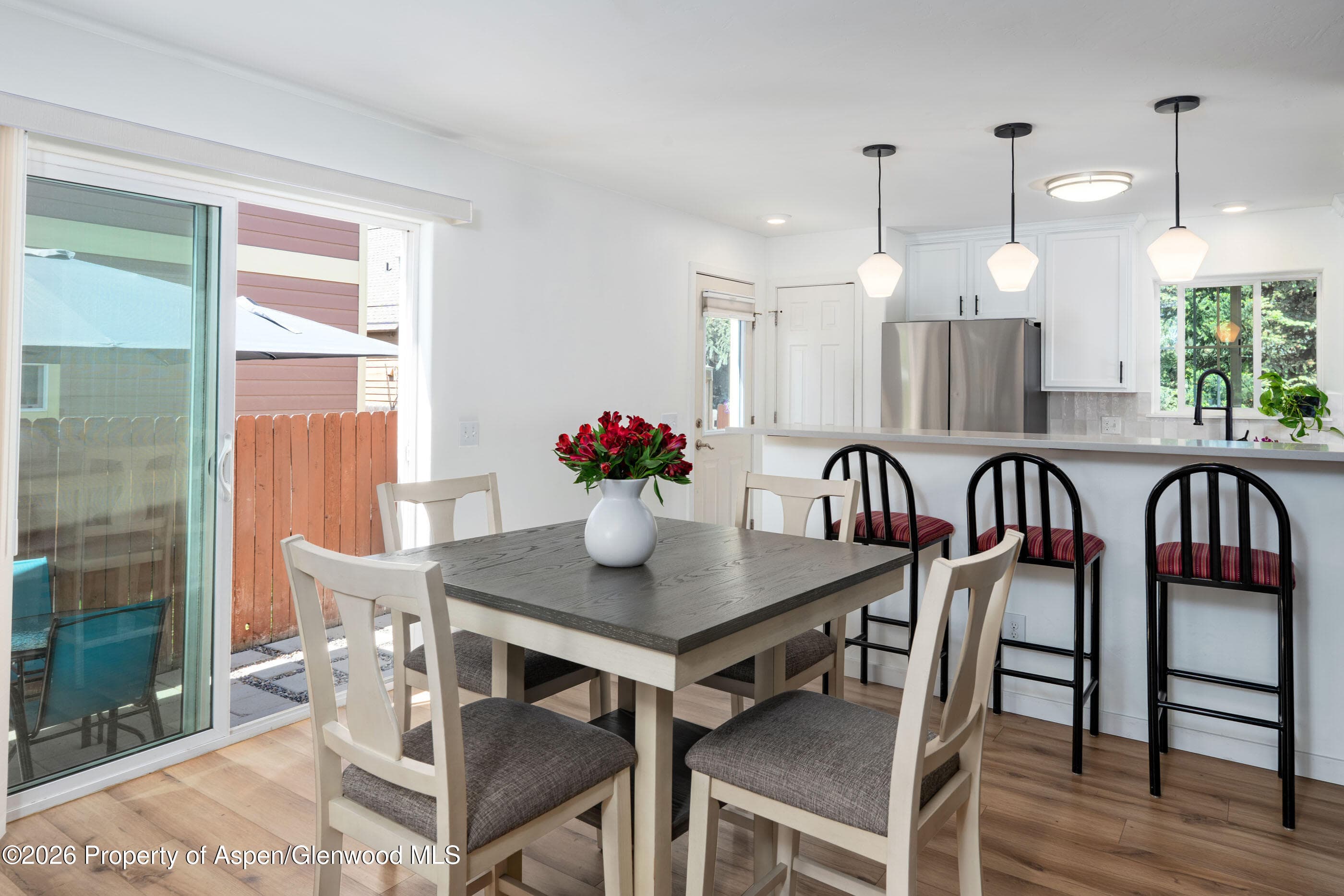 321 W Eighth Court, Carbondale, CO 81623 - Photo 5