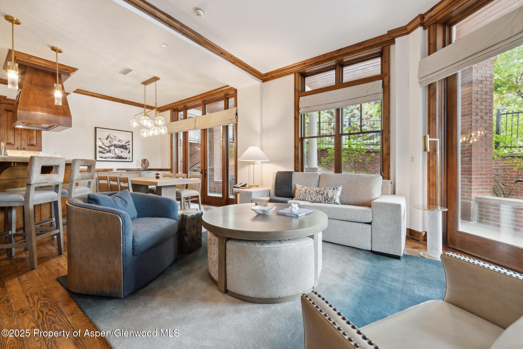 415 E Dean St, Unit 1, Week 29 Street, Aspen, CO 81611 - Photo 8