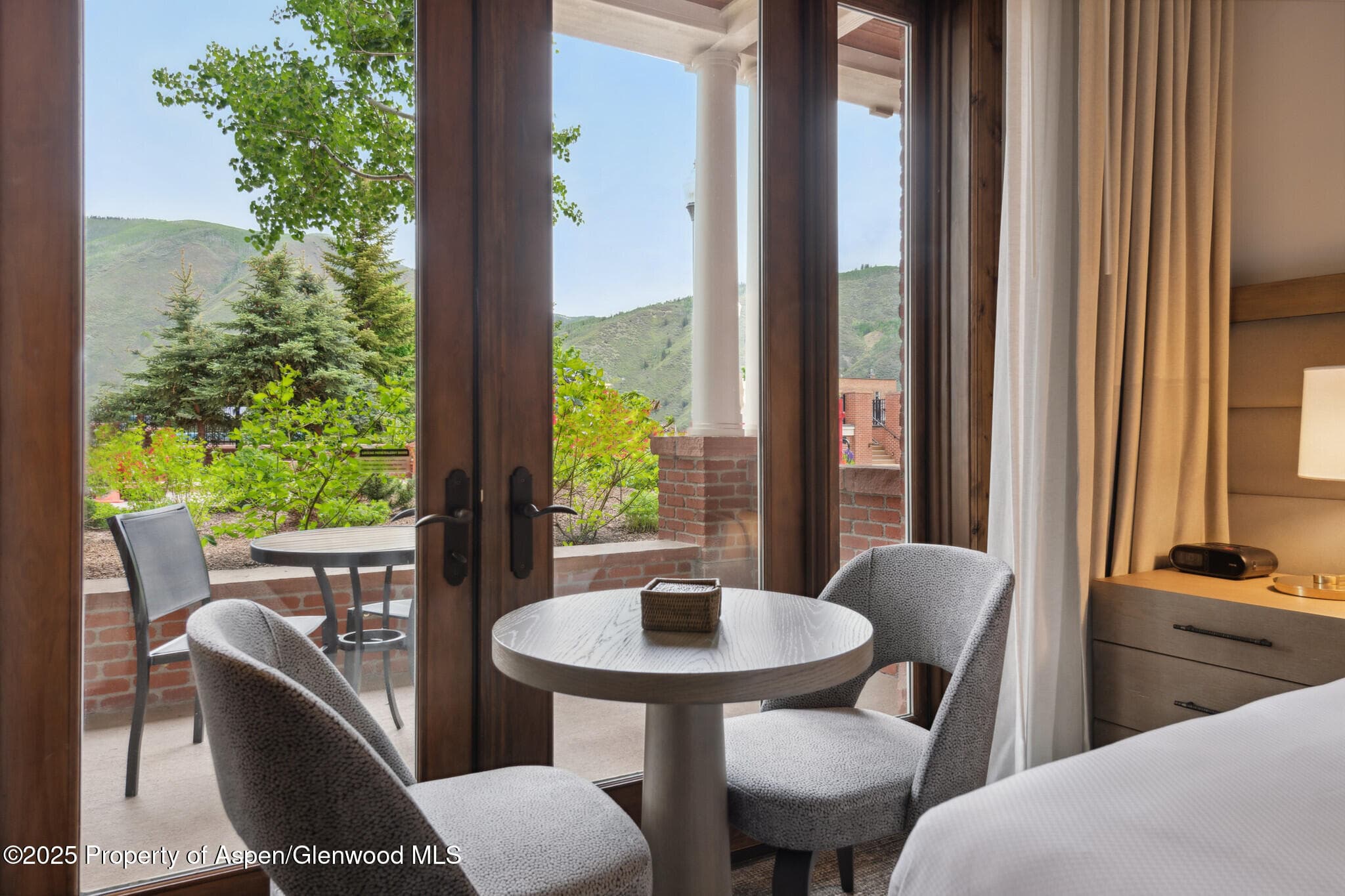415 E Dean St, Unit 1, Week 29 Street, Aspen, CO 81611 - Photo 15