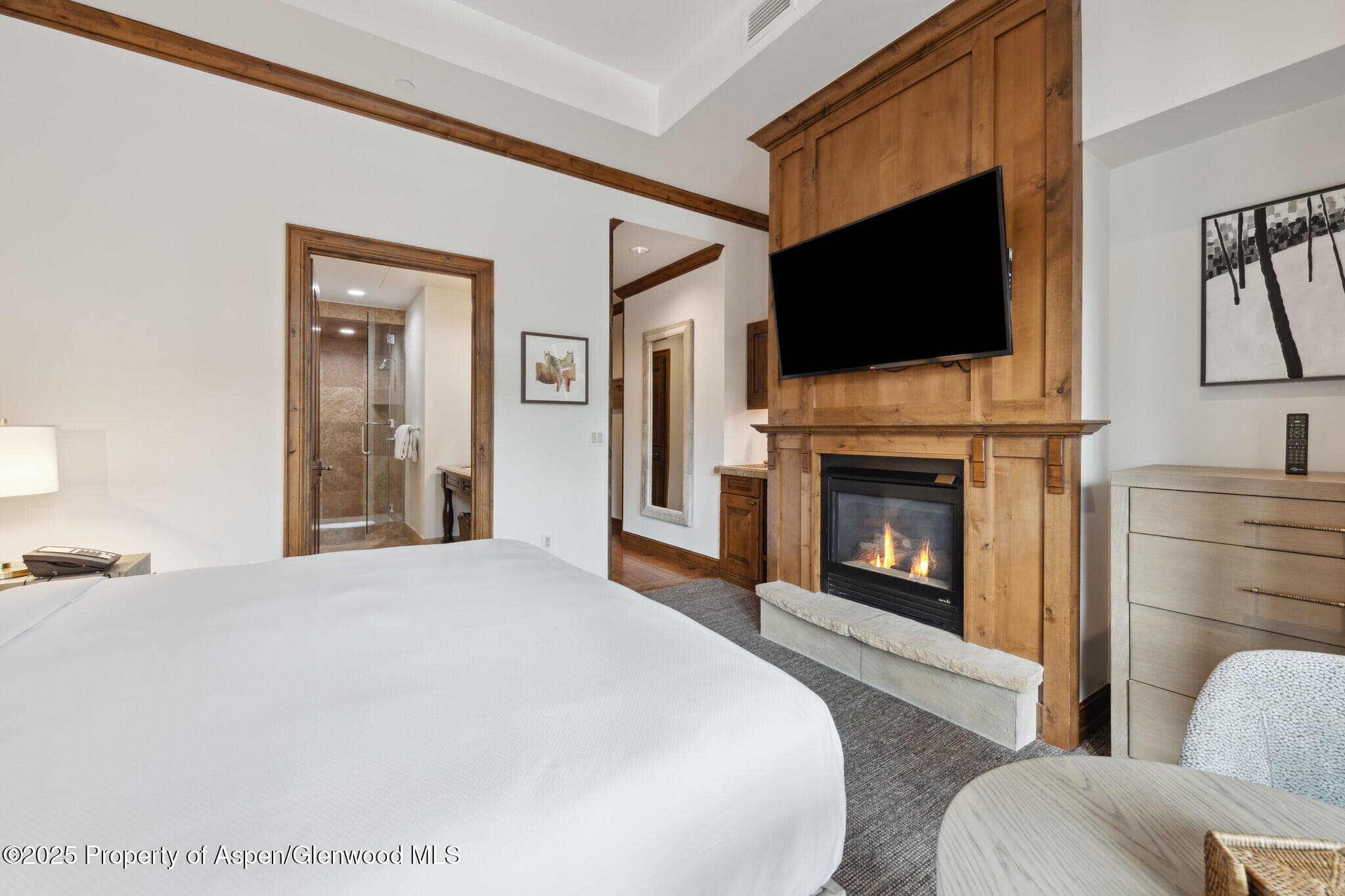 415 E Dean St, Unit 1, Week 29 Street, Aspen, CO 81611 - Photo 17
