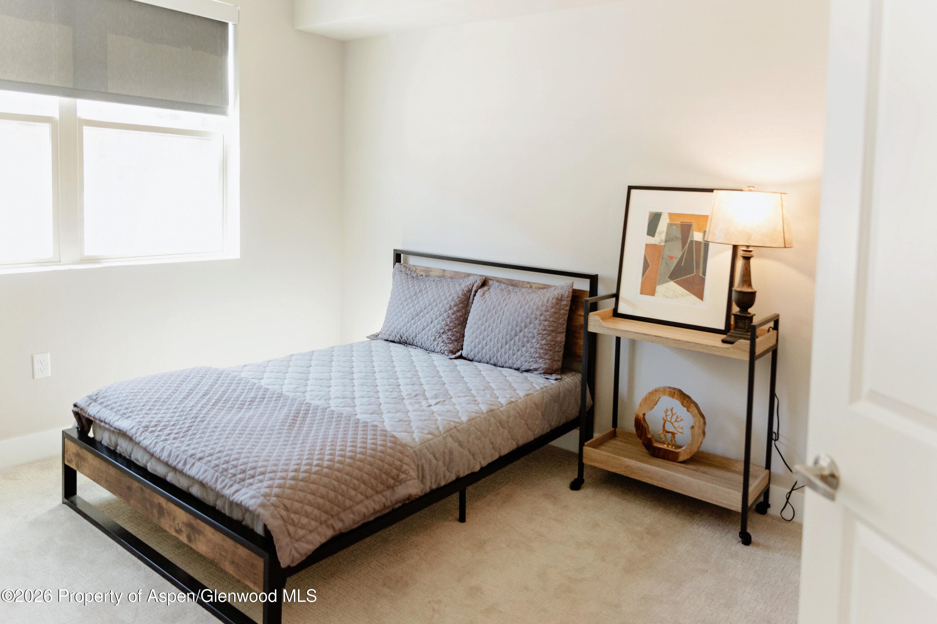 253 Wulfsohn Road 225, Glenwood Springs, CO 81601 - Photo 5