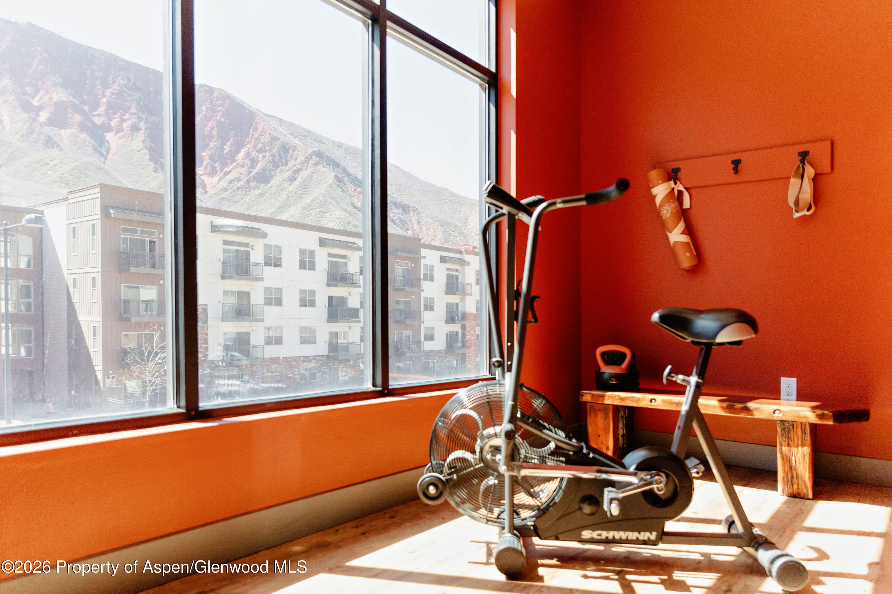 253 Wulfsohn Road 225, Glenwood Springs, CO 81601 - Photo 12