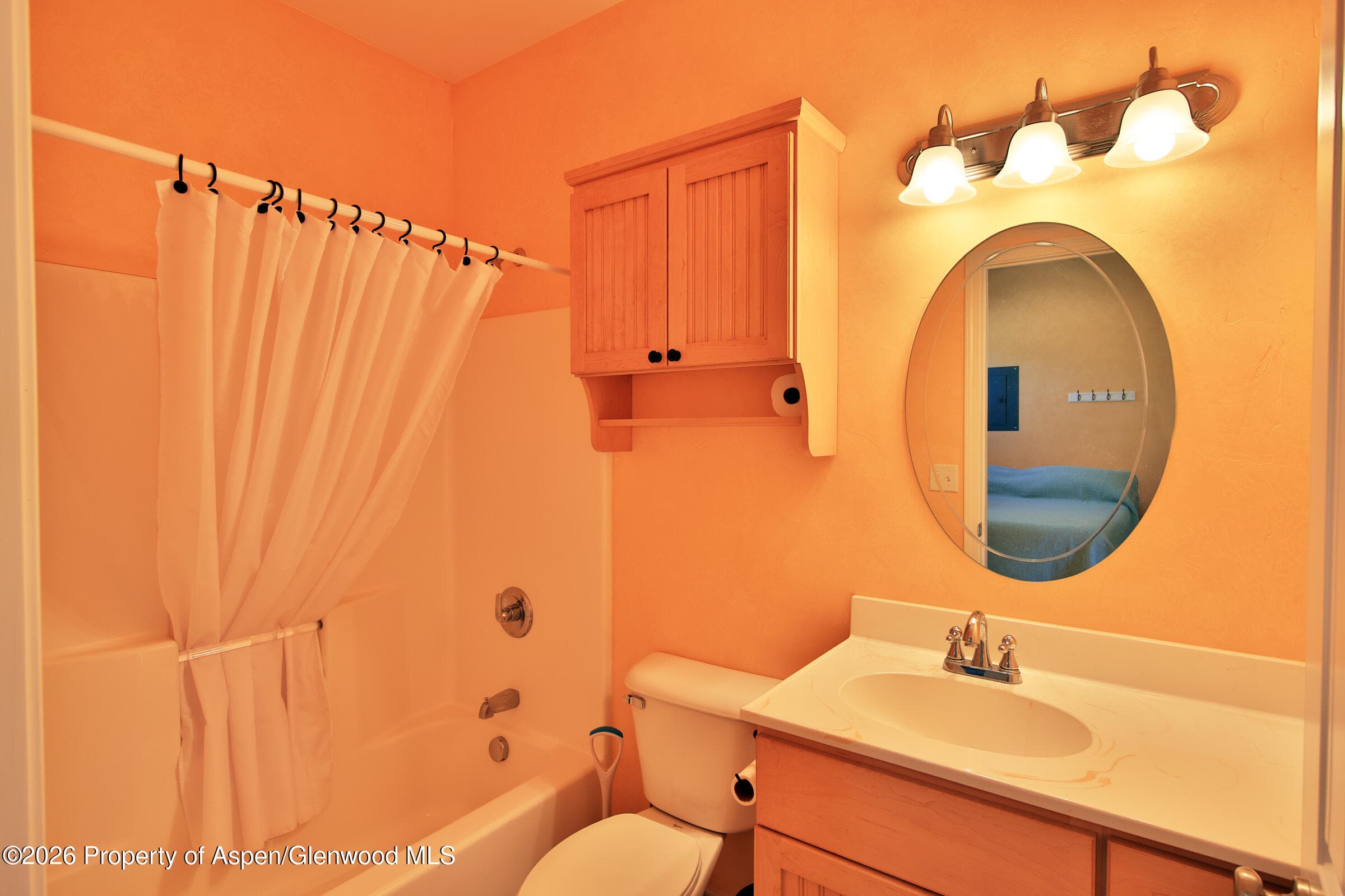 67912 Vega Vista Drive, Collbran, CO 81624 - Photo 14