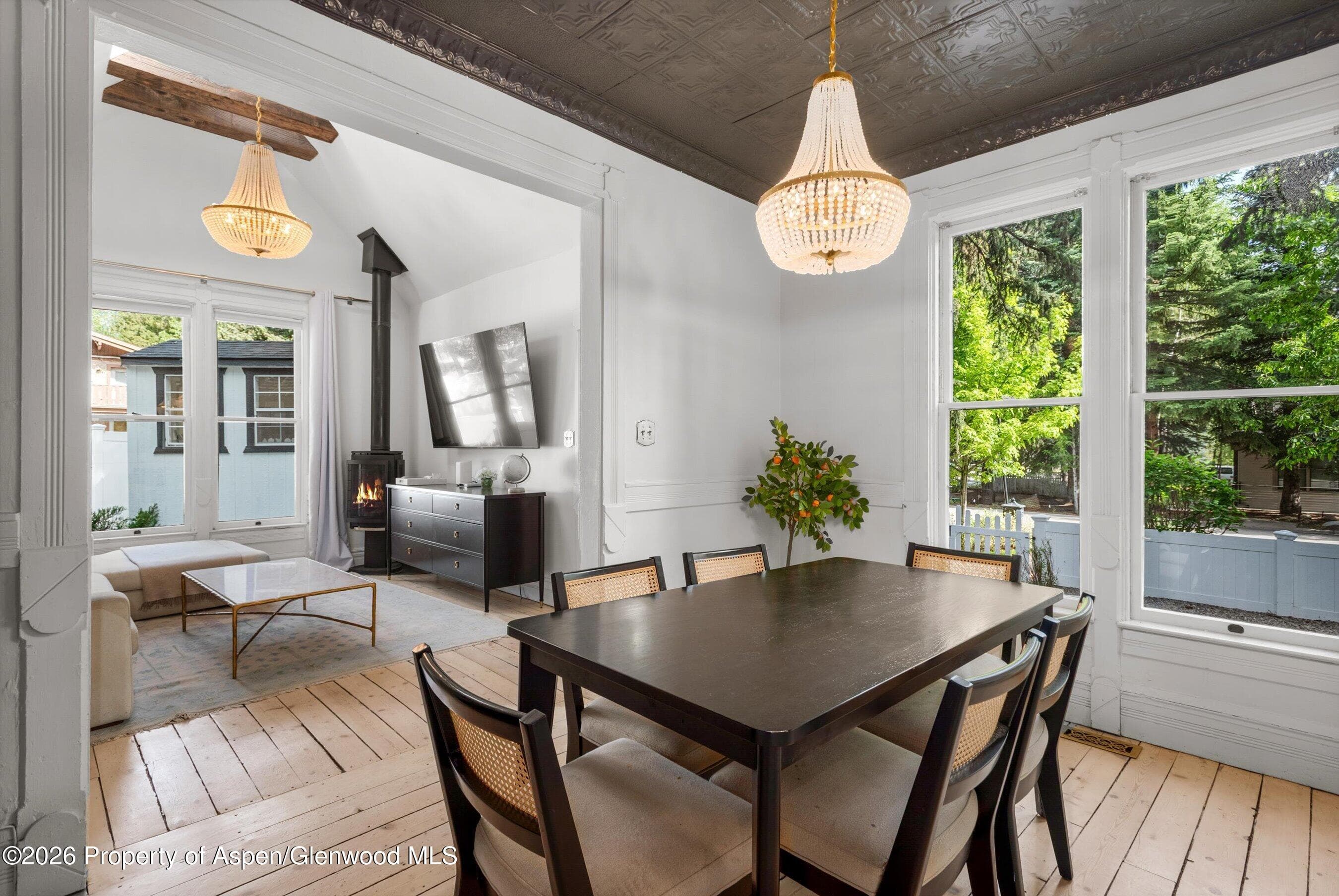 735 W Bleeker Street, Aspen, CO 81611 - Photo 6