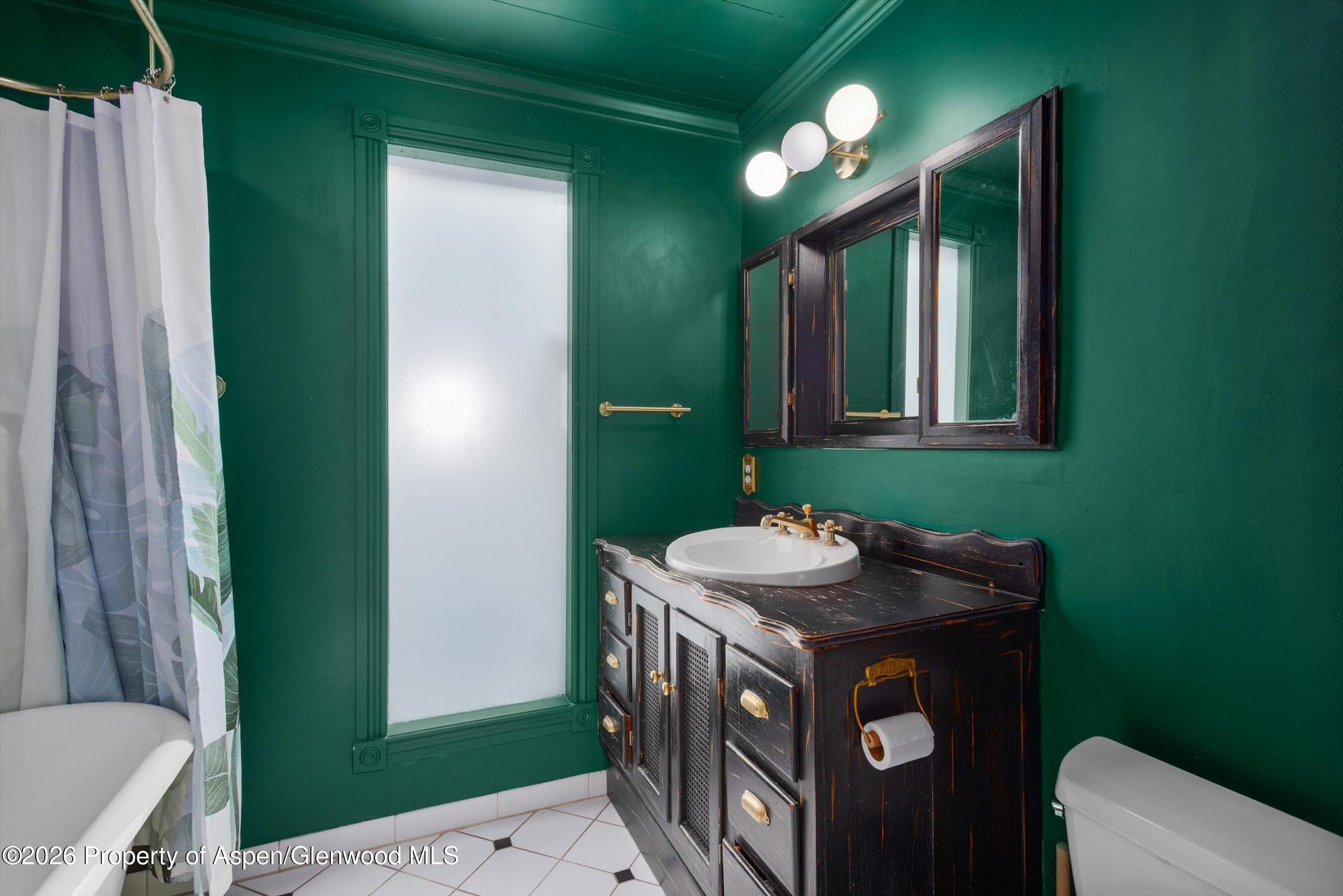 735 W Bleeker Street, Aspen, CO 81611 - Photo 32
