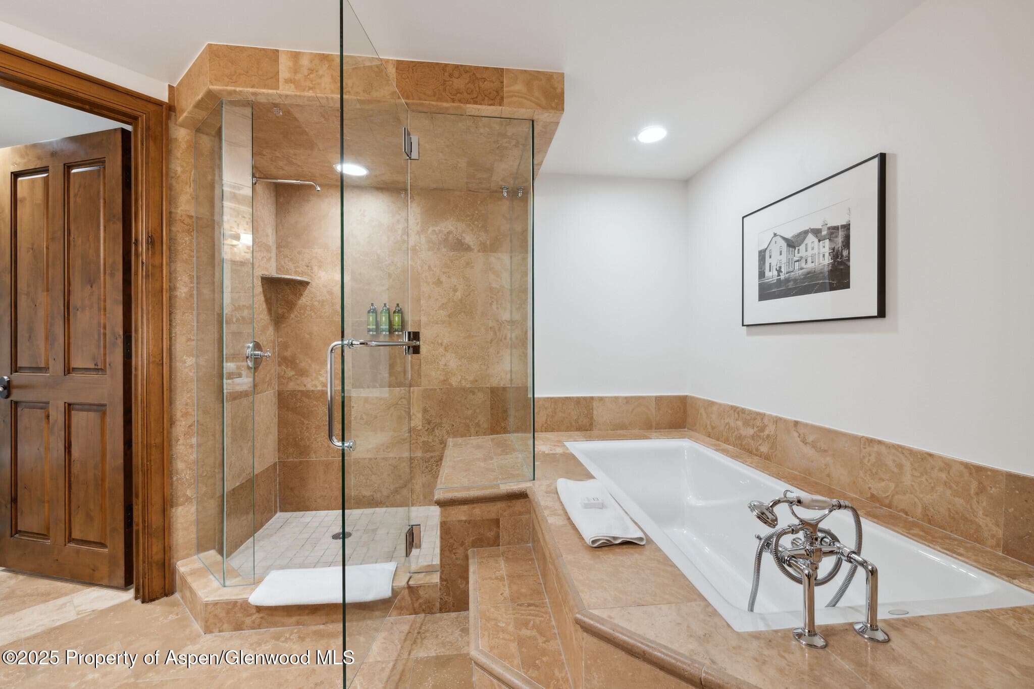 415 E Dean St., Unit 20, Week 32, Aspen, CO 81611 - Photo 22