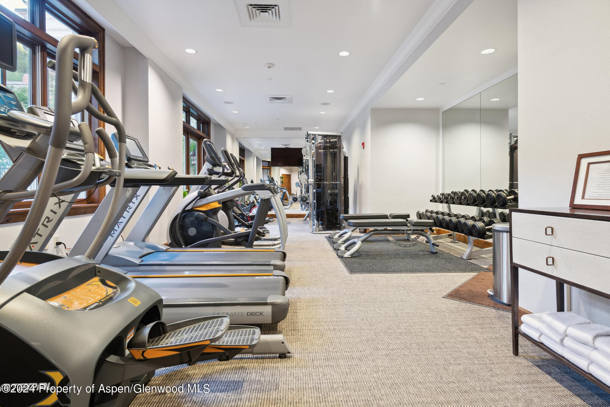 415 E Dean St., Unit 20, Week 32, Aspen, CO 81611 - Photo 29