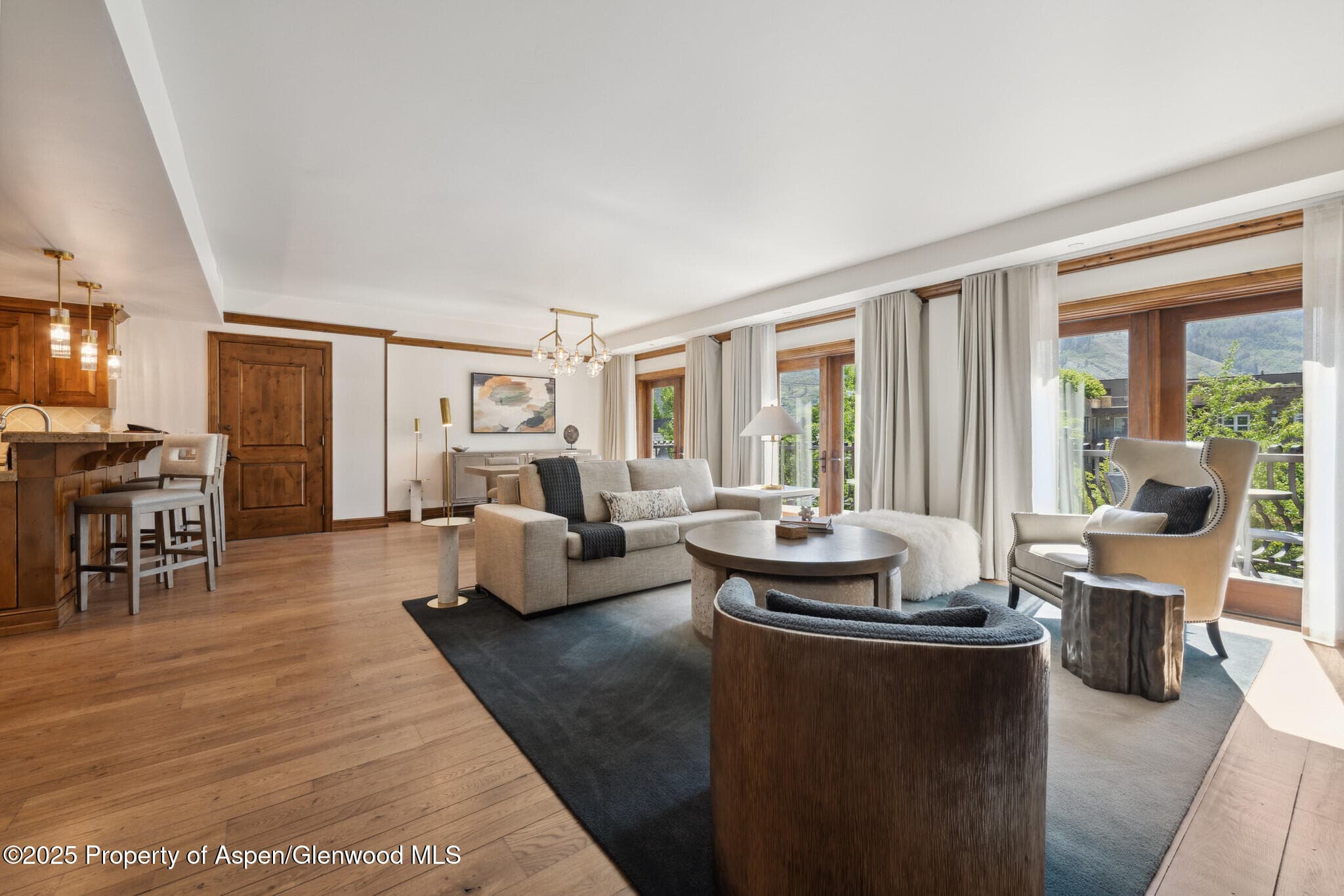 415 E Dean St., Unit 49 Week 33, Aspen, CO 81611 - Photo 4