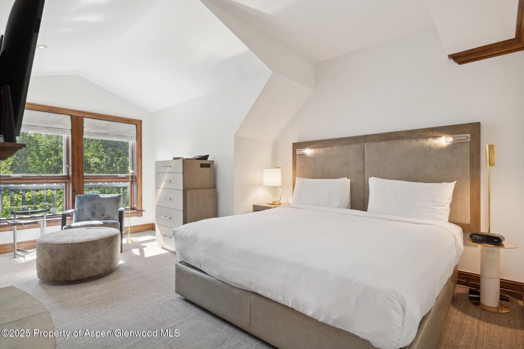 415 E Dean St., Unit 49 Week 33, Aspen, CO 81611 - Photo 13