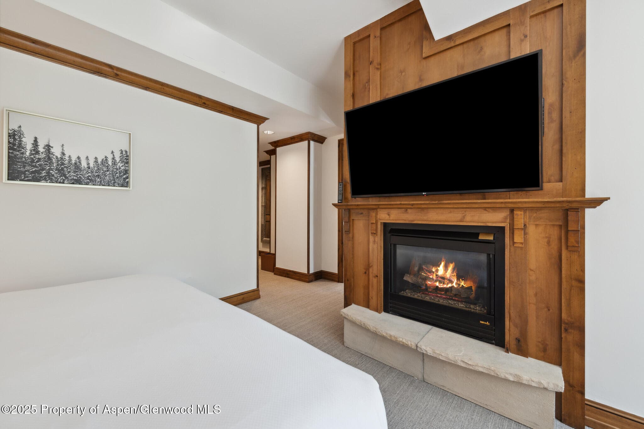 415 E Dean St., Unit 49 Week 33, Aspen, CO 81611 - Photo 14