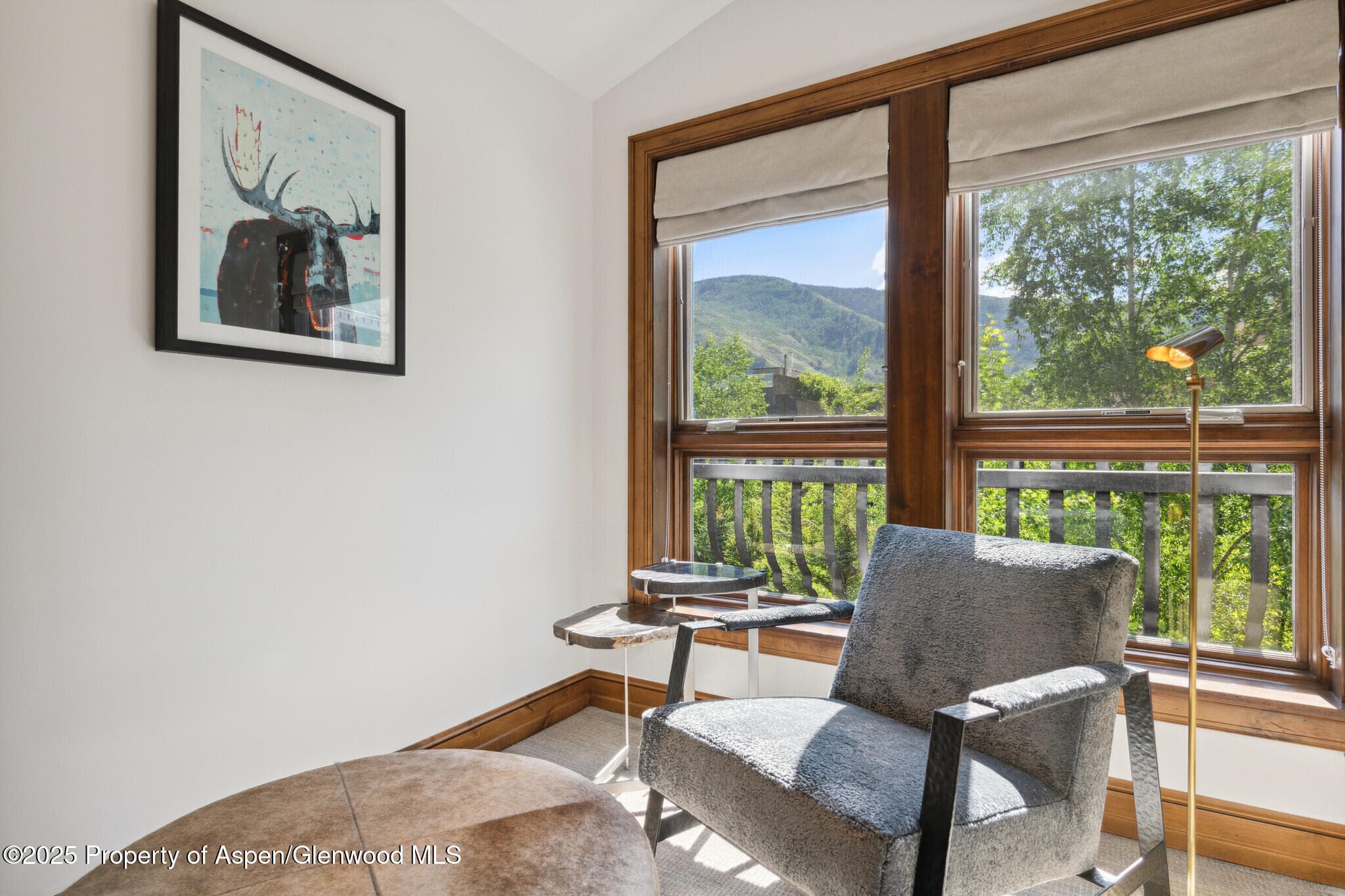 415 E Dean St., Unit 49 Week 33, Aspen, CO 81611 - Photo 15