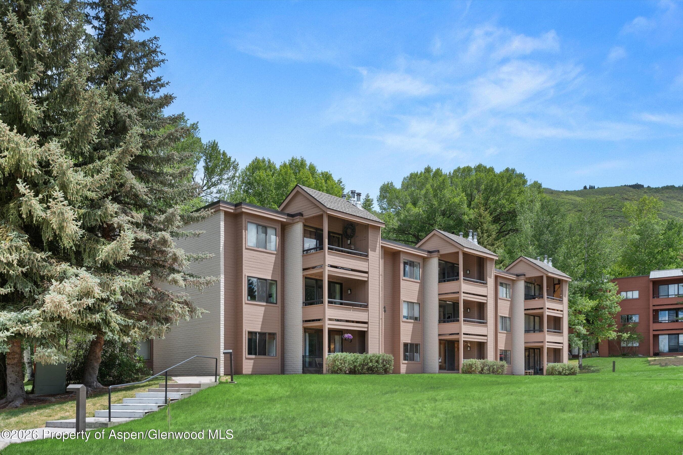 412 Vine Street, Aspen, CO 81611 - Photo 24