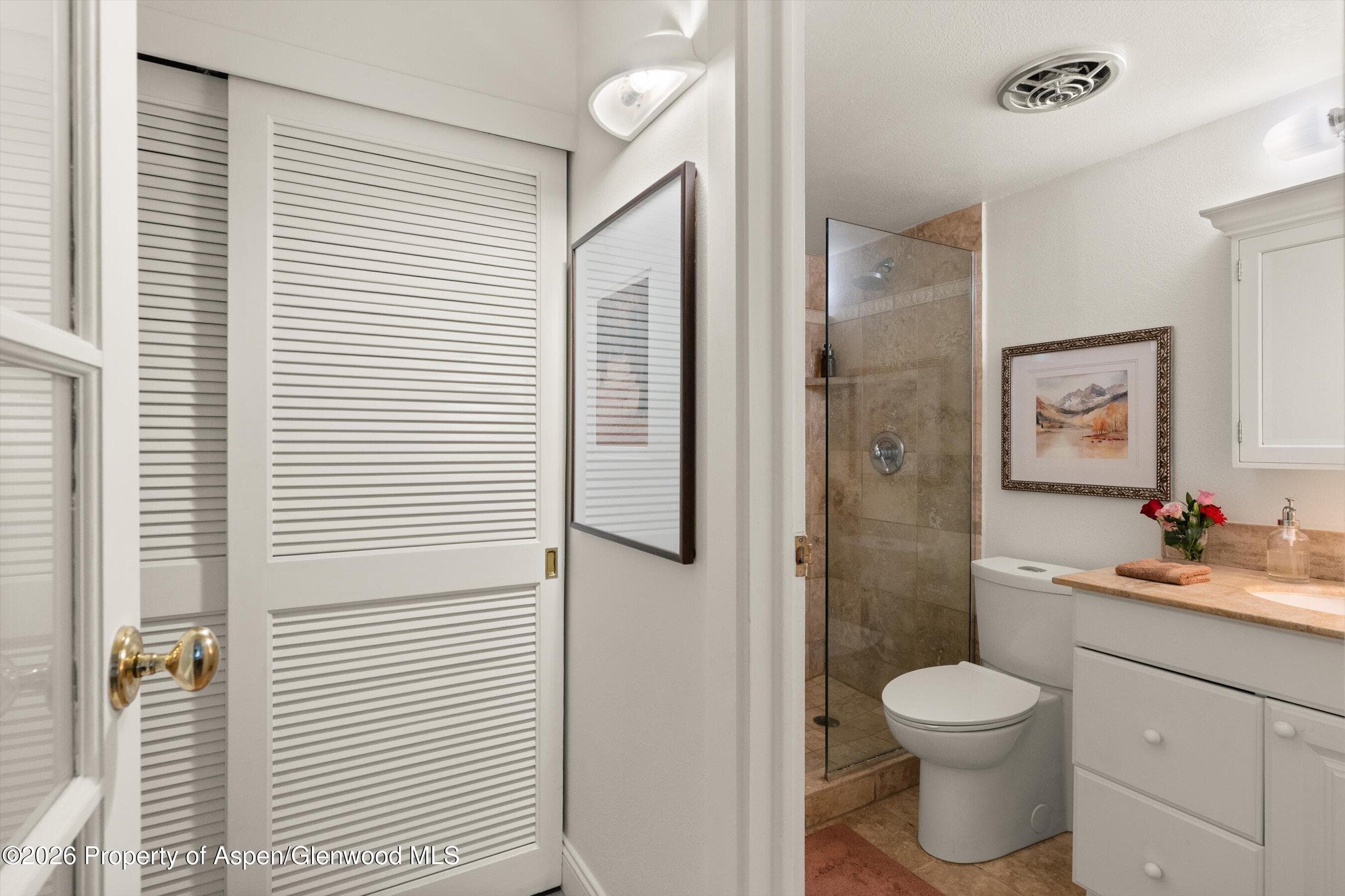 412 Vine Street, Aspen, CO 81611 - Photo 18