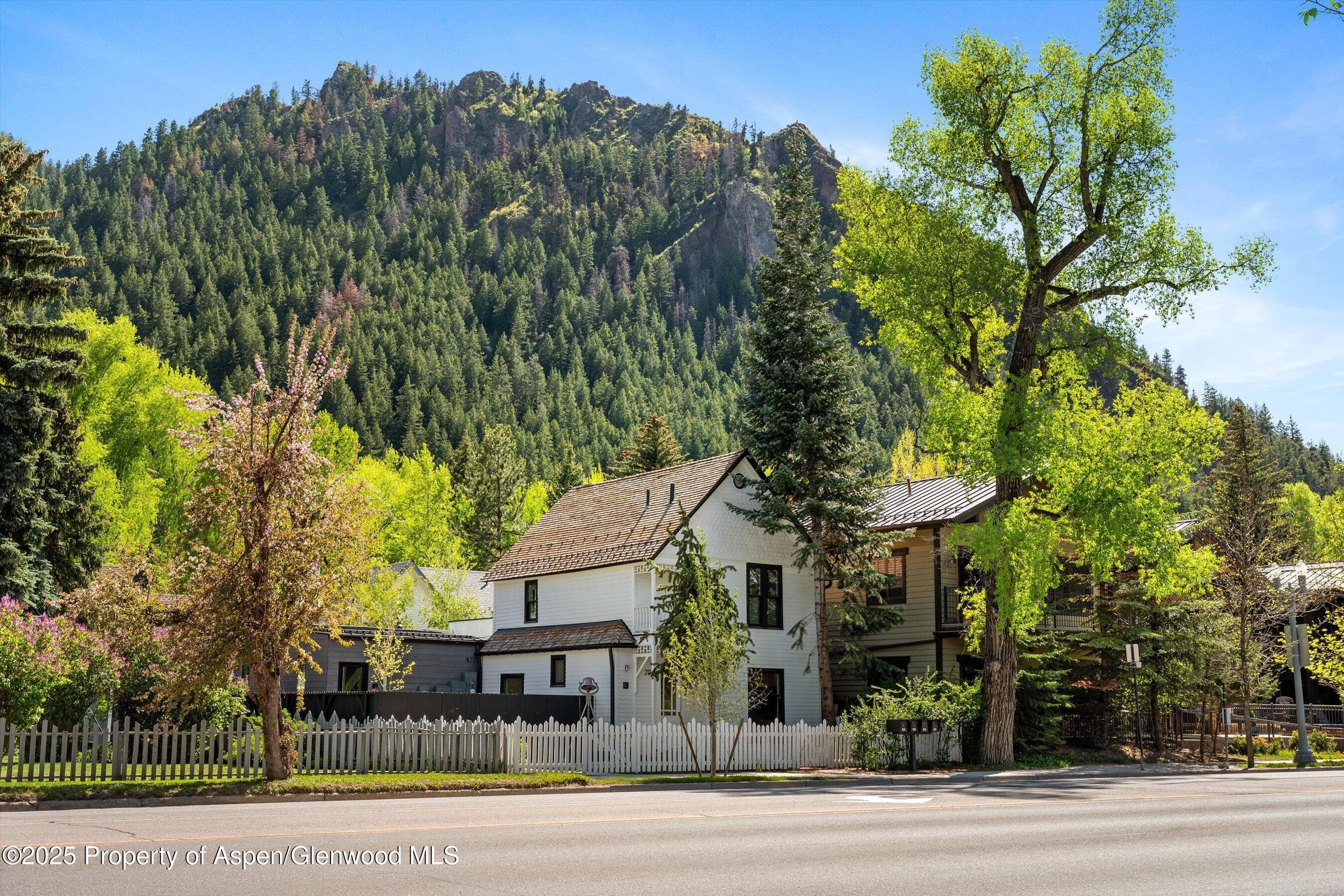 211 W Main Street, Aspen, CO 81611 - Photo 43