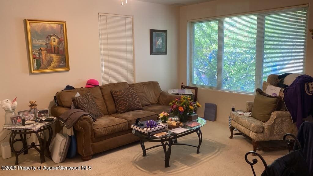 1400 E Valley Road 1, Basalt, CO 81621 - Photo 1