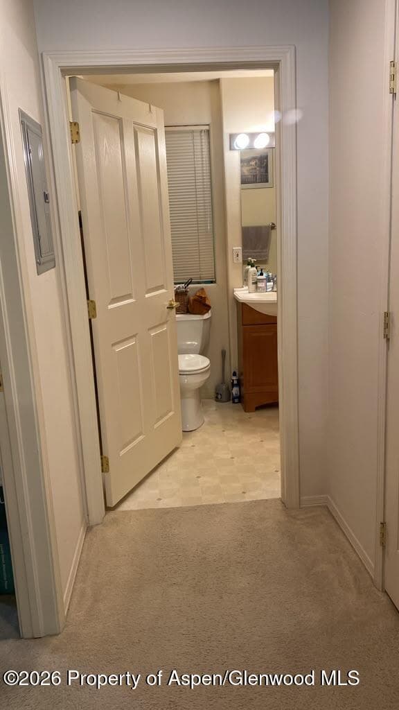 1400 E Valley Road 1, Basalt, CO 81621 - Photo 3