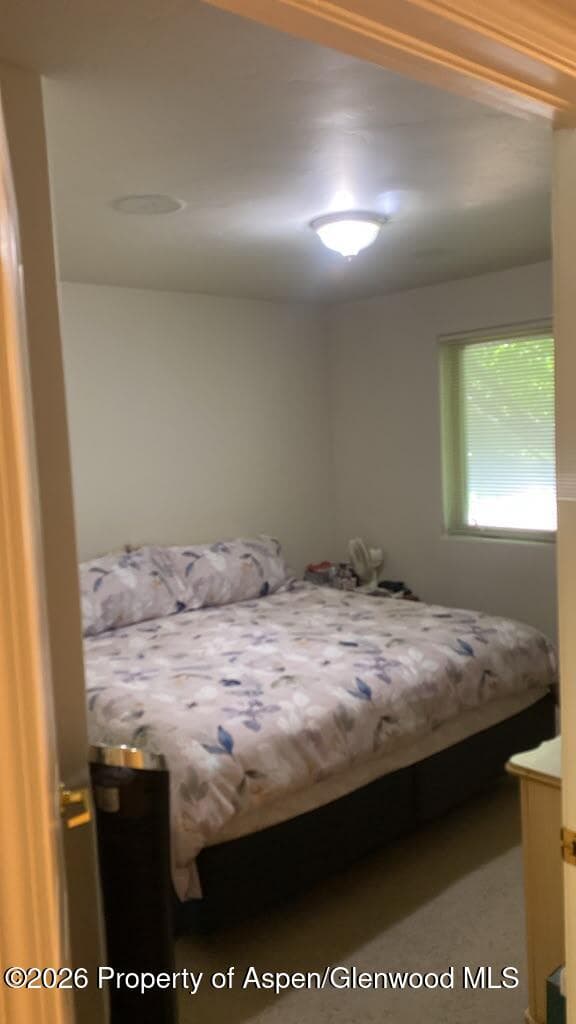 1400 E Valley Road 1, Basalt, CO 81621 - Photo 7