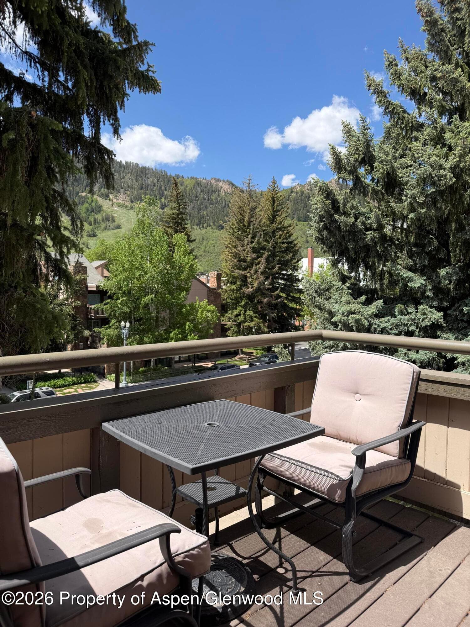 600 E Main Street 406, Aspen, CO 81611 - Photo 12
