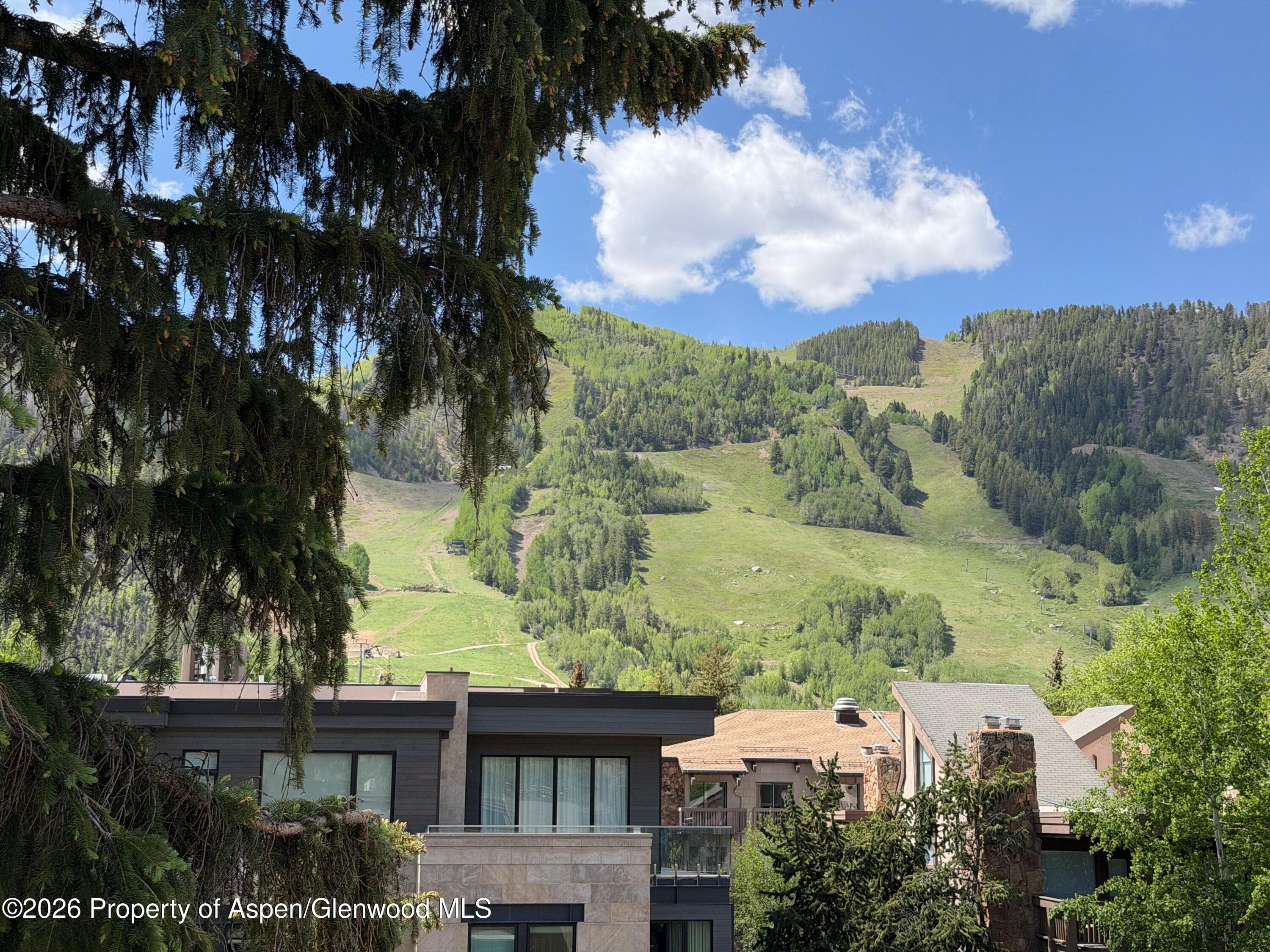 600 E Main Street 406, Aspen, CO 81611 - Photo 13