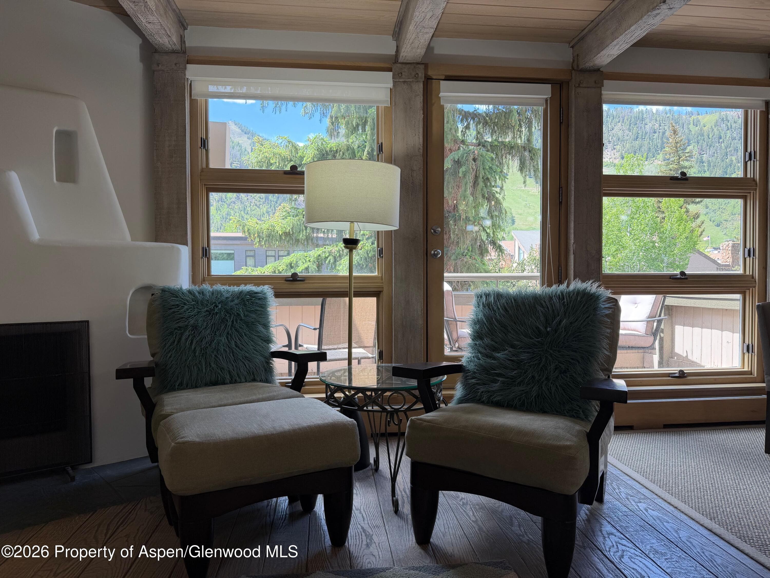 600 E Main Street 406, Aspen, CO 81611 - Photo 5