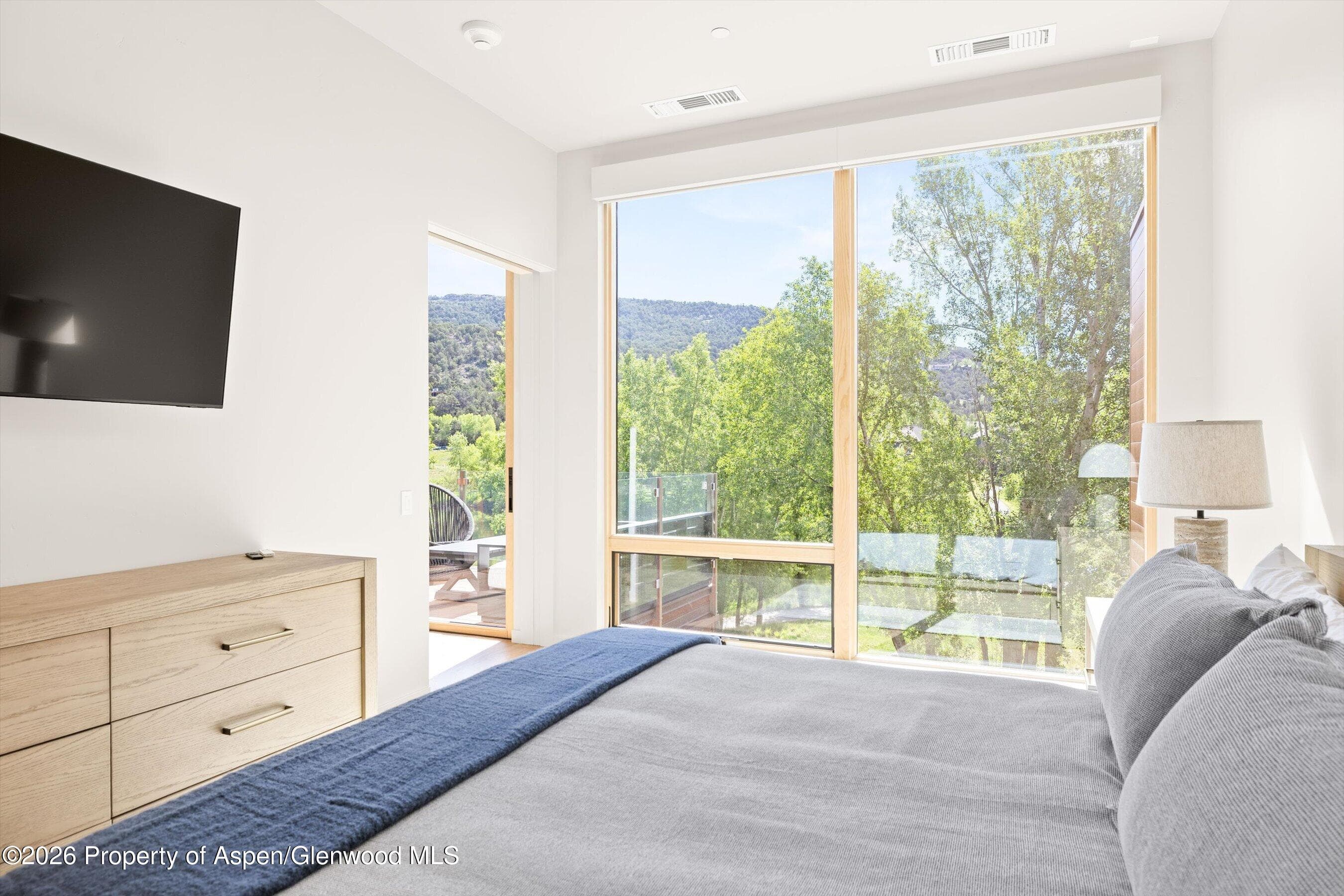 101 Willow Road 206, Basalt, CO 81621 - Photo 8
