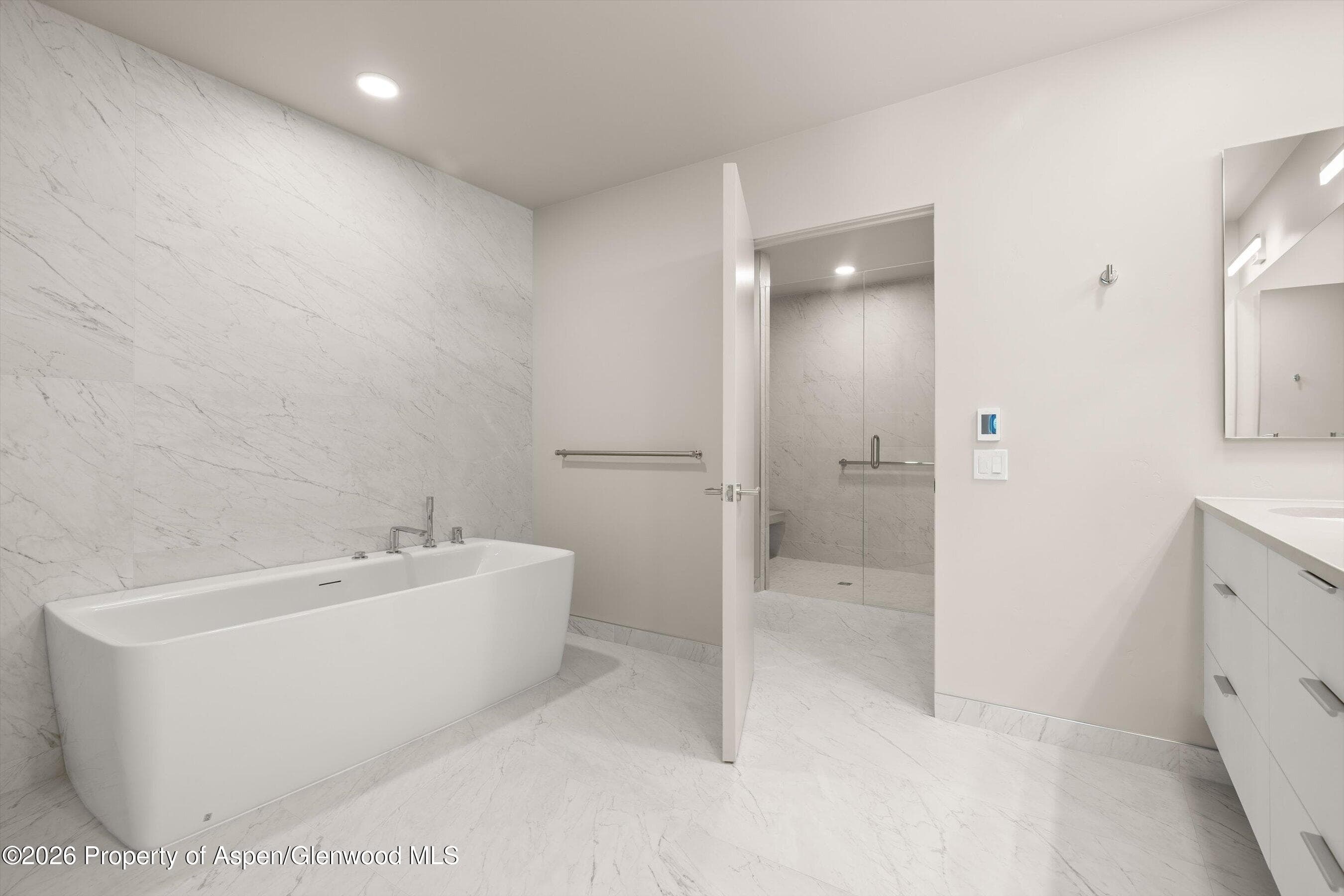 101 Willow Road 206, Basalt, CO 81621 - Photo 10