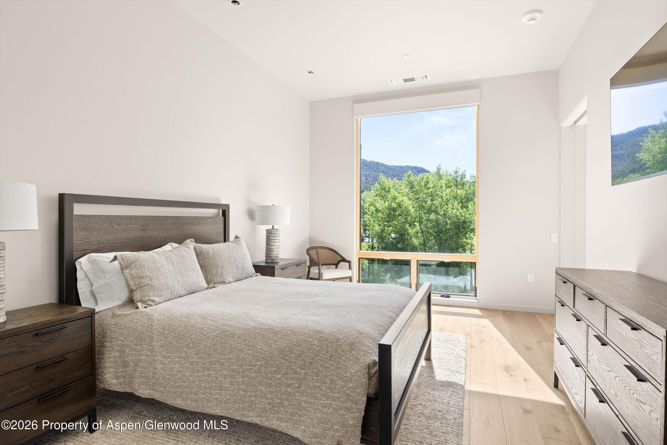 101 Willow Road 206, Basalt, CO 81621 - Photo 12
