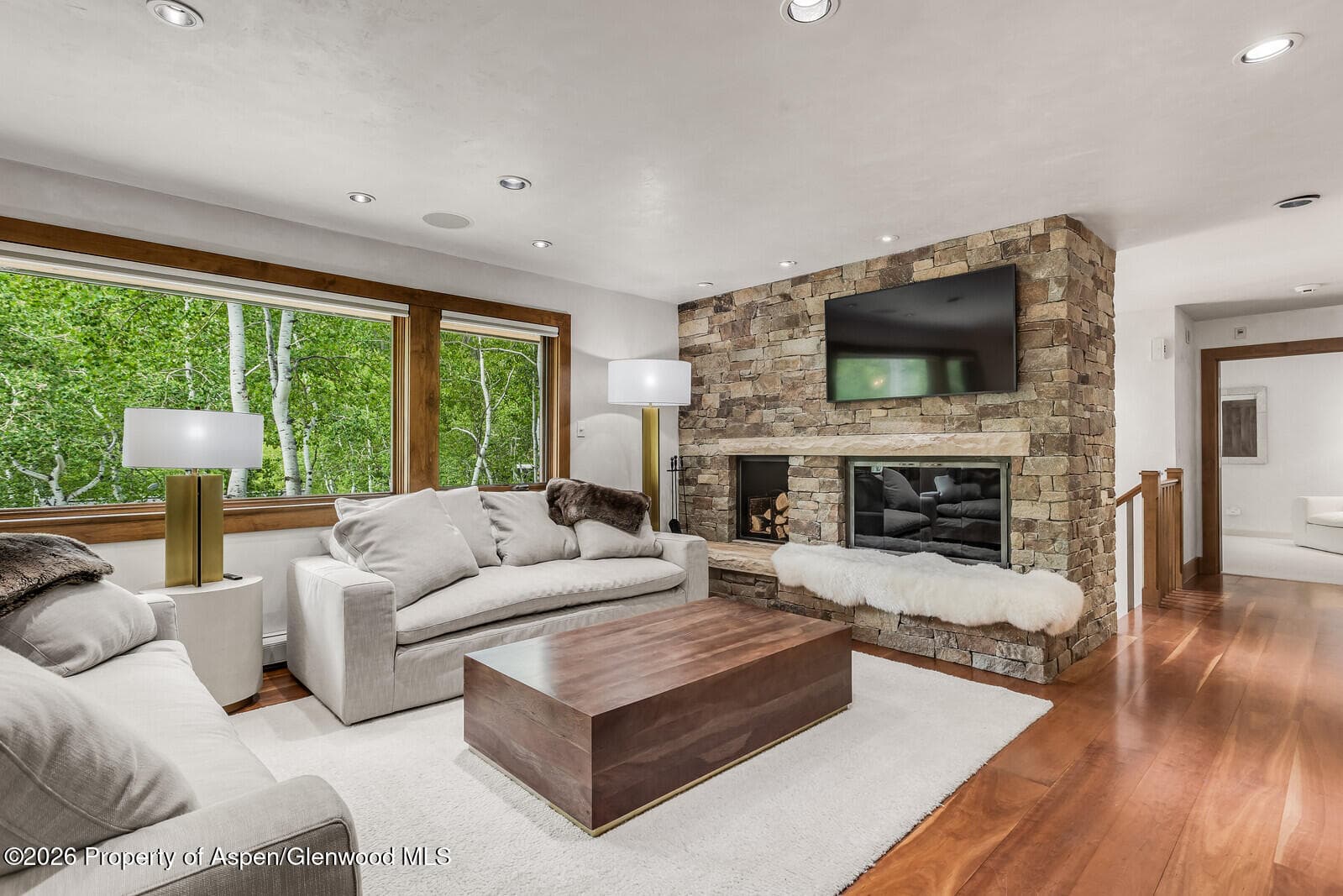 203 Eastwood Drive, Aspen, CO 81611 - Photo 5