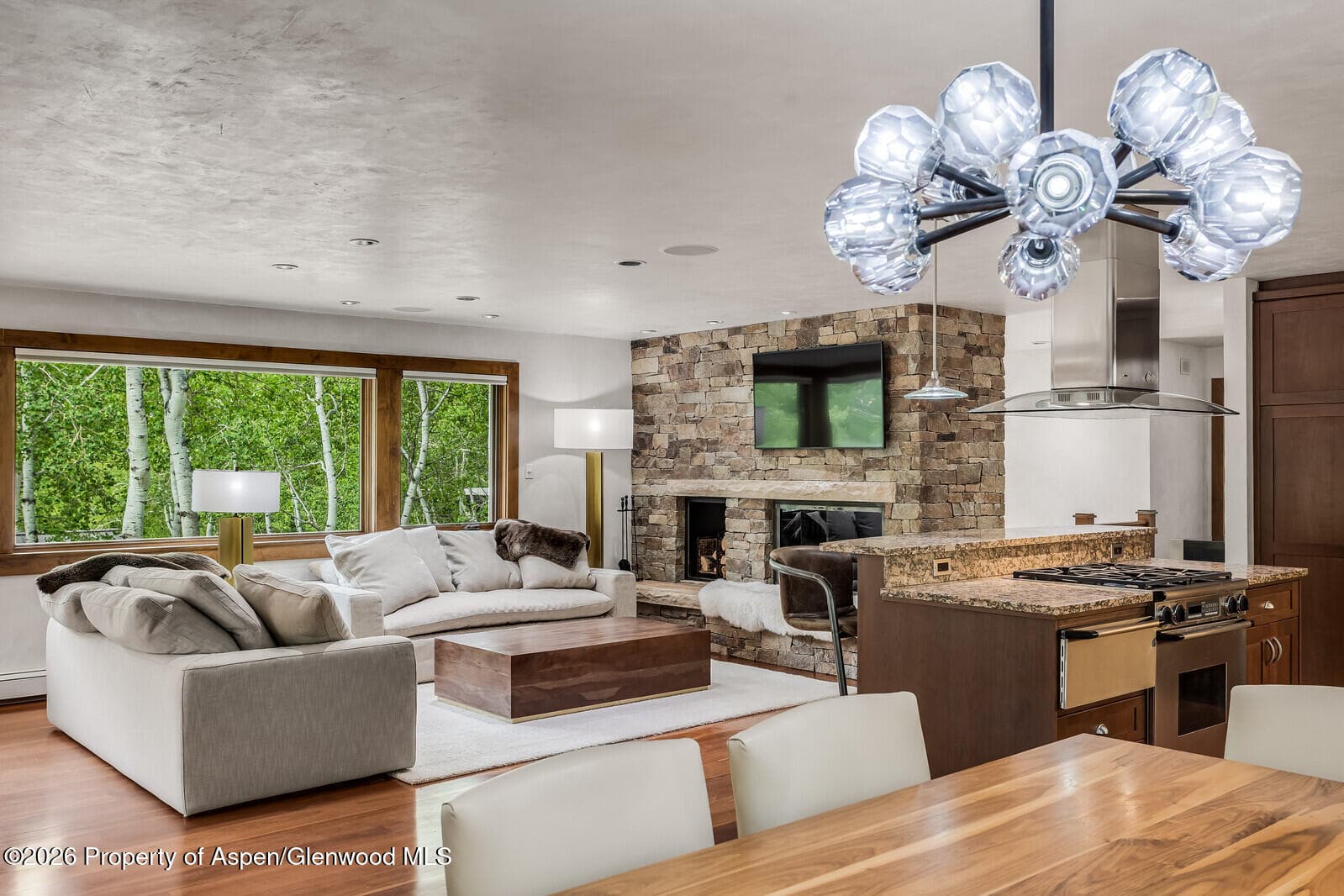 203 Eastwood Drive, Aspen, CO 81611 - Photo 6