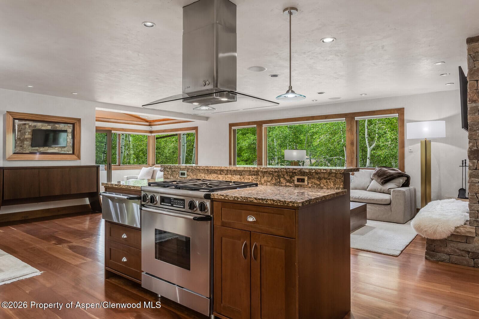 203 Eastwood Drive, Aspen, CO 81611 - Photo 9