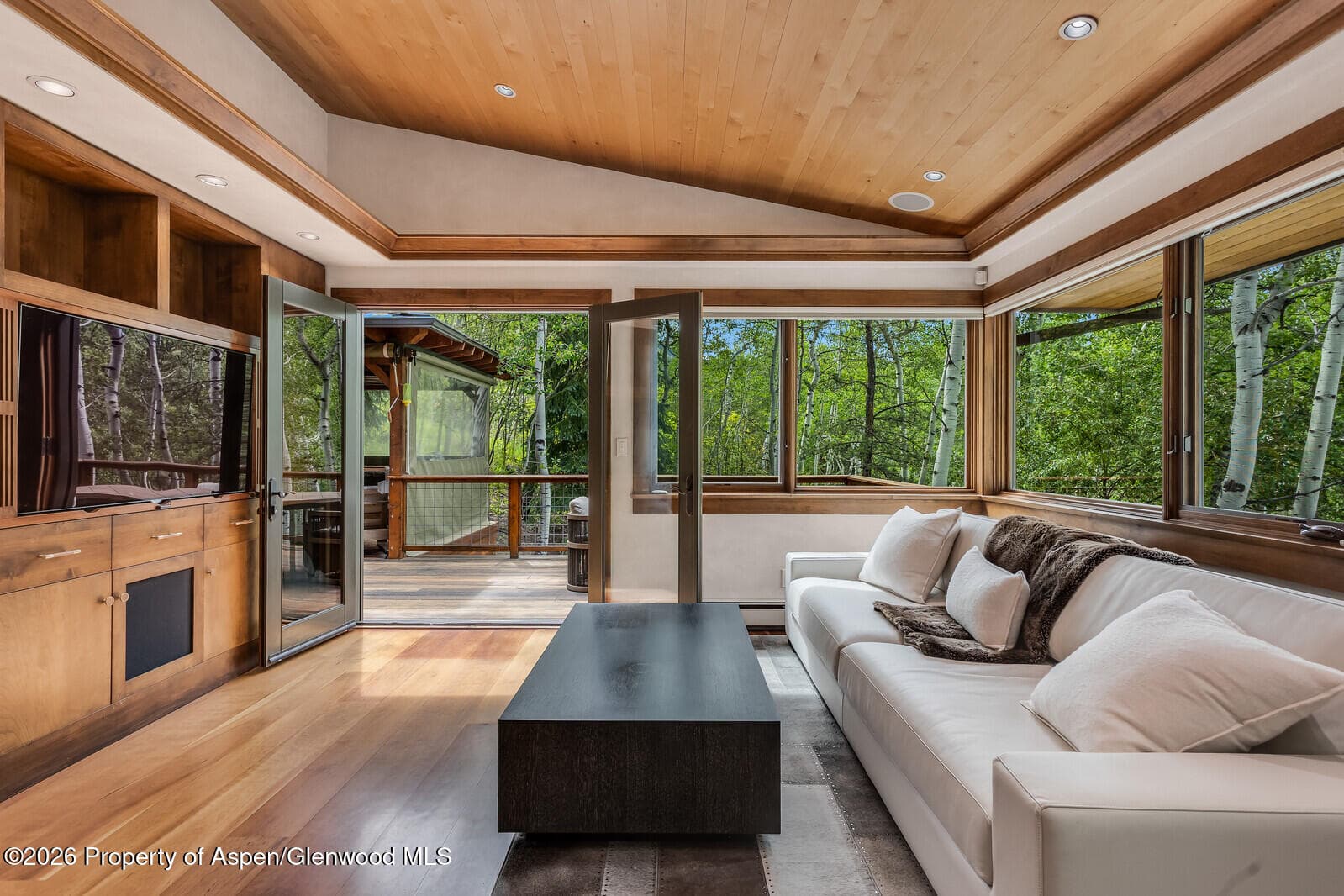 203 Eastwood Drive, Aspen, CO 81611 - Photo 13