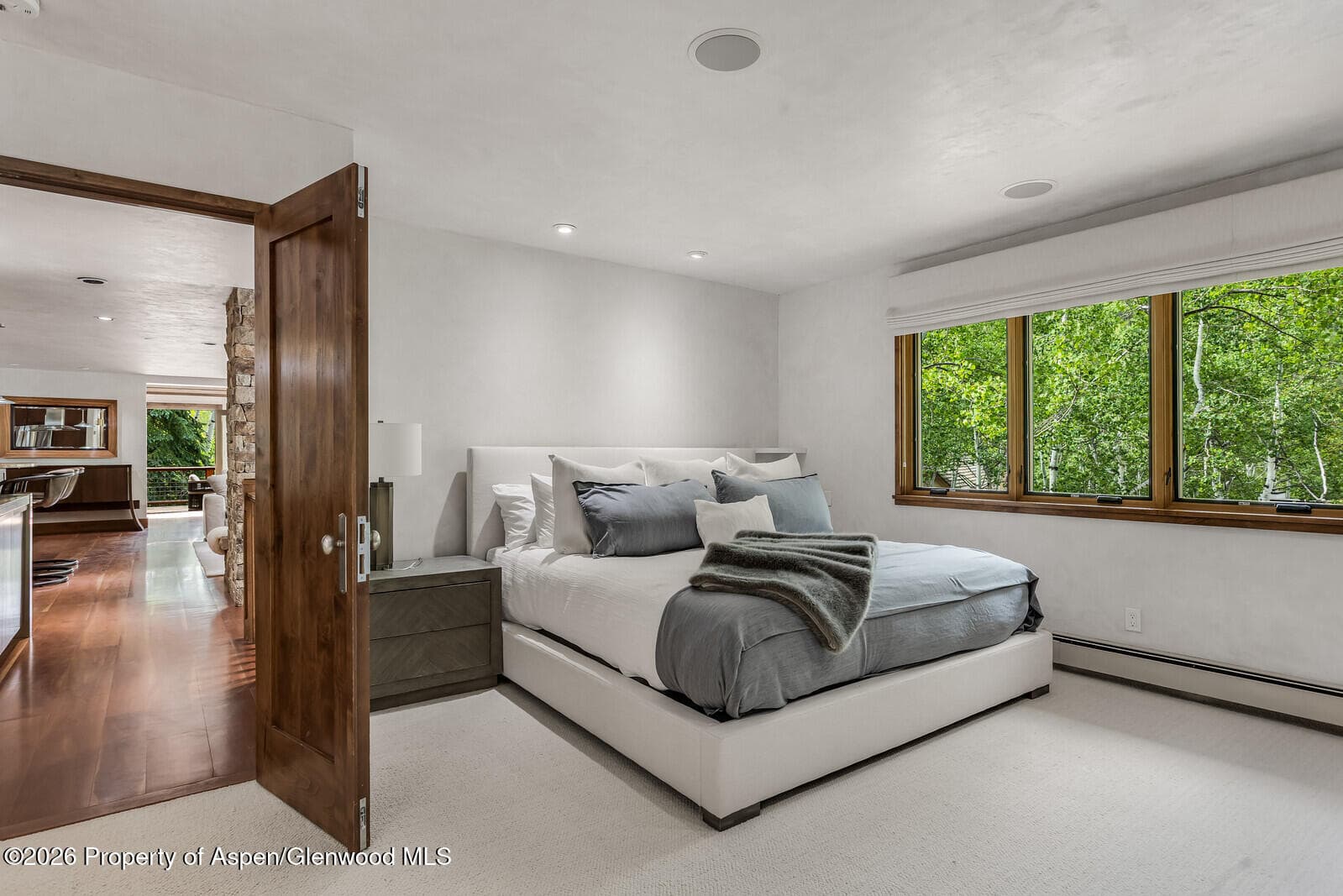 203 Eastwood Drive, Aspen, CO 81611 - Photo 15