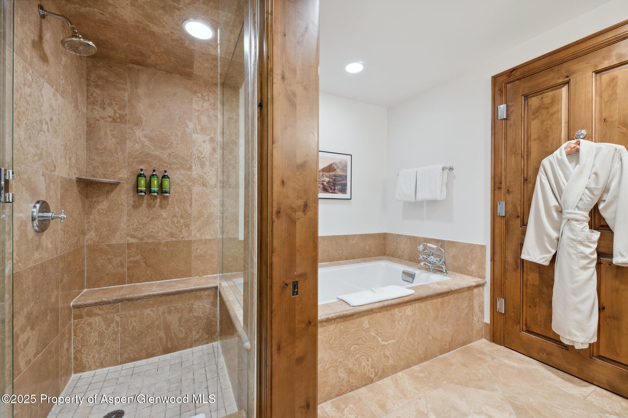 415 E Dean St., Unit 38, Week 33, Aspen, CO 81611 - Photo 29
