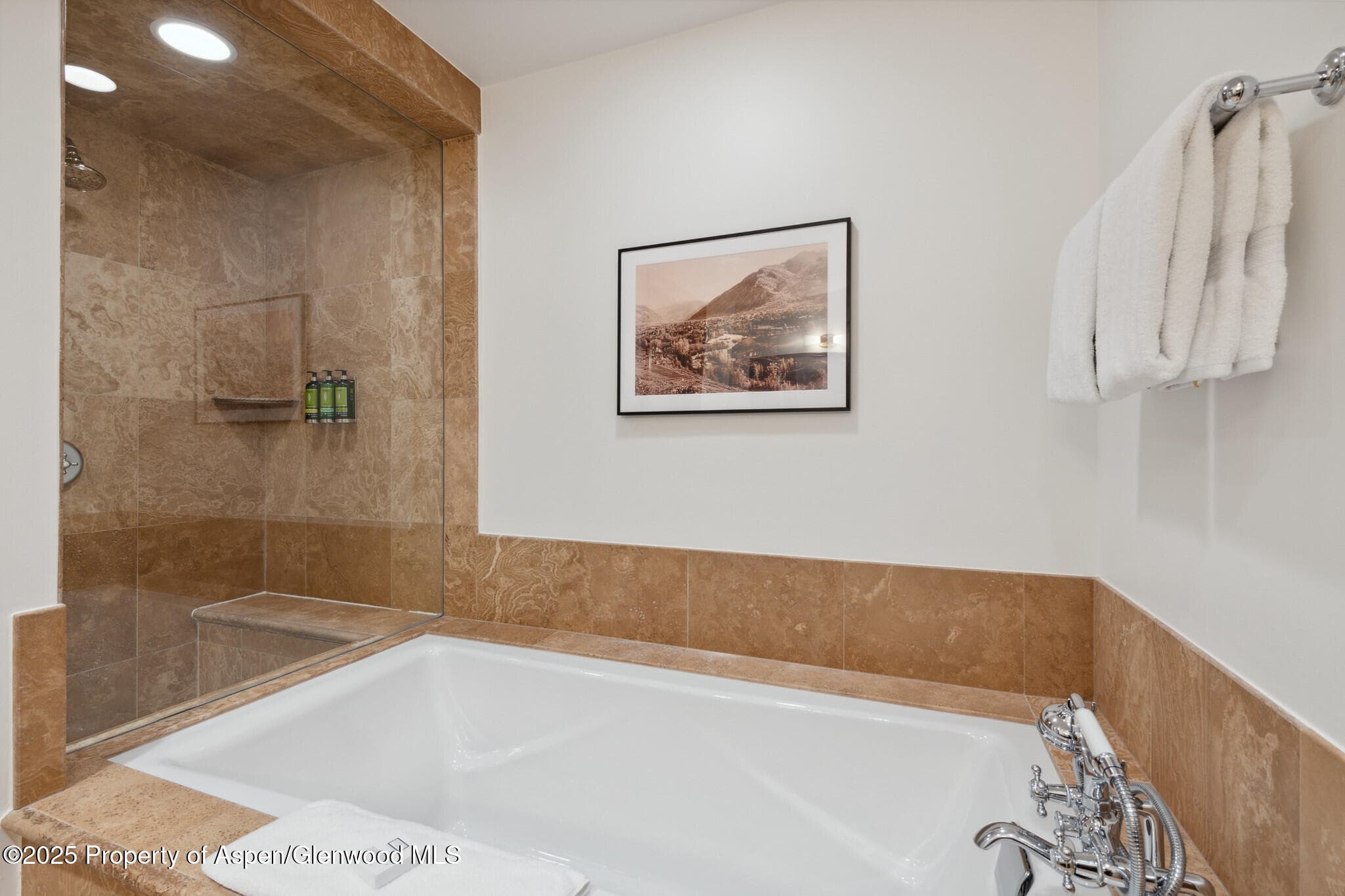 415 E Dean St., Unit 38, Week 33, Aspen, CO 81611 - Photo 30