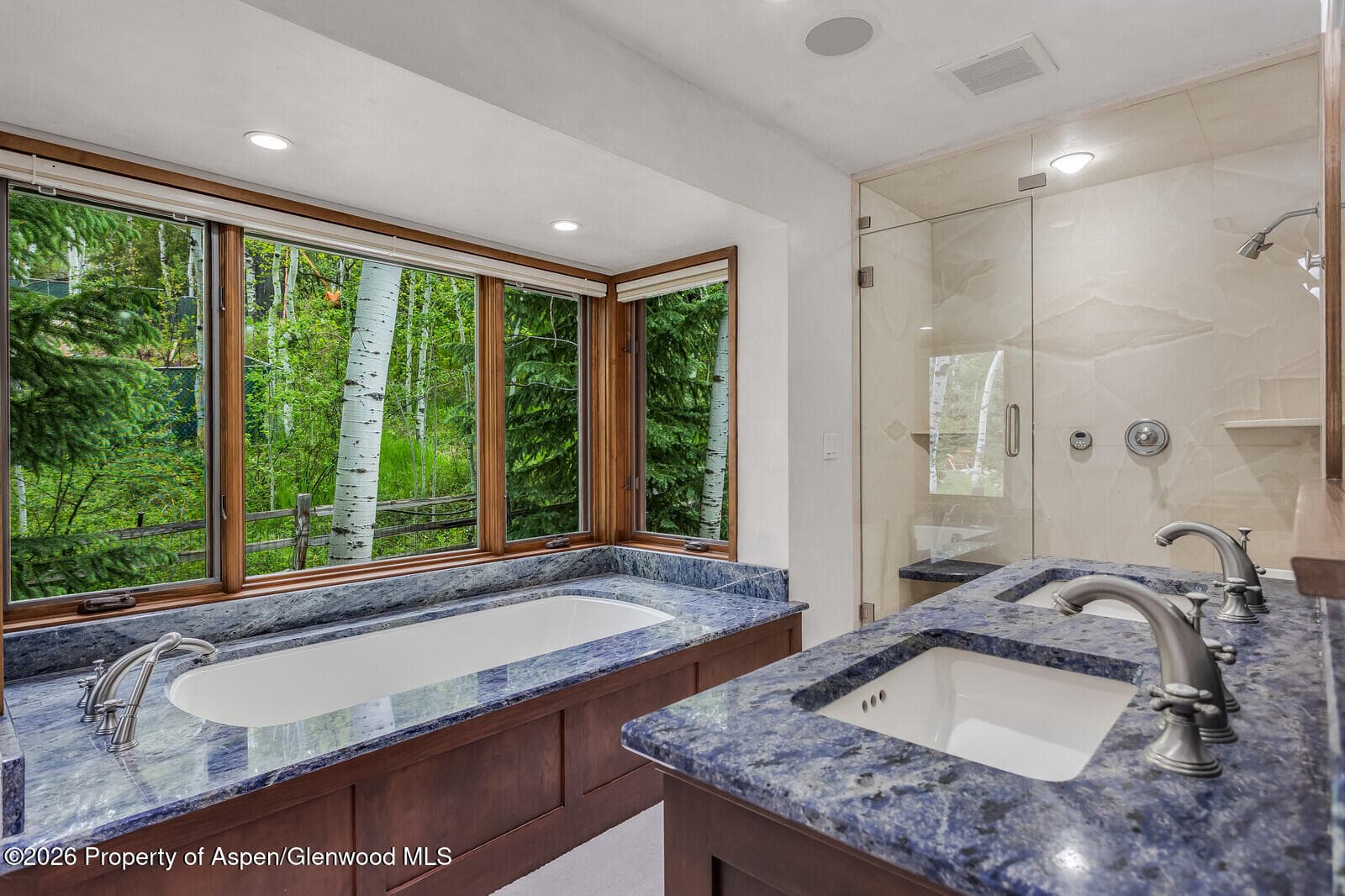 203 Eastwood Drive, Aspen, CO 81611 - Photo 17